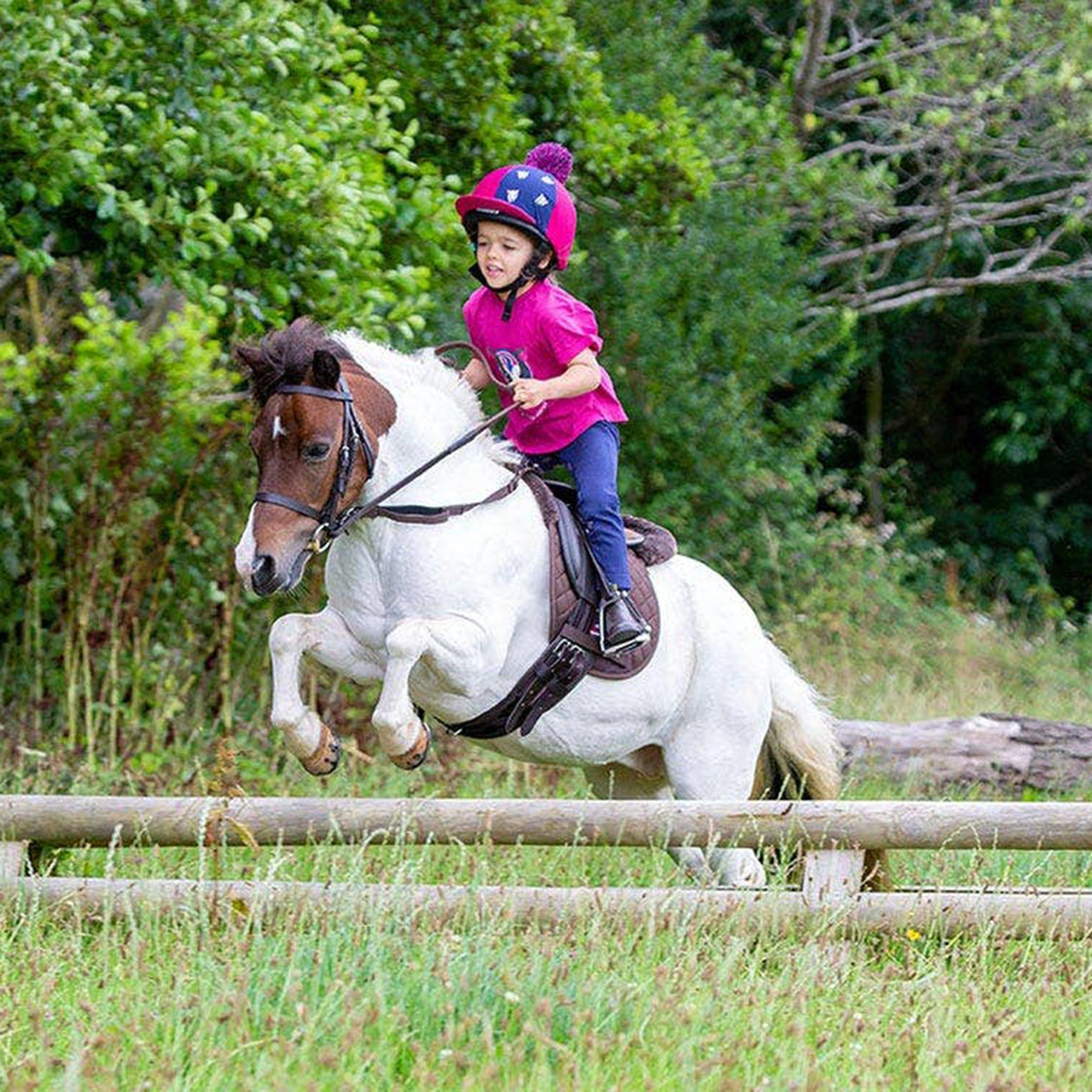 Pony Pad Havana - Image 3