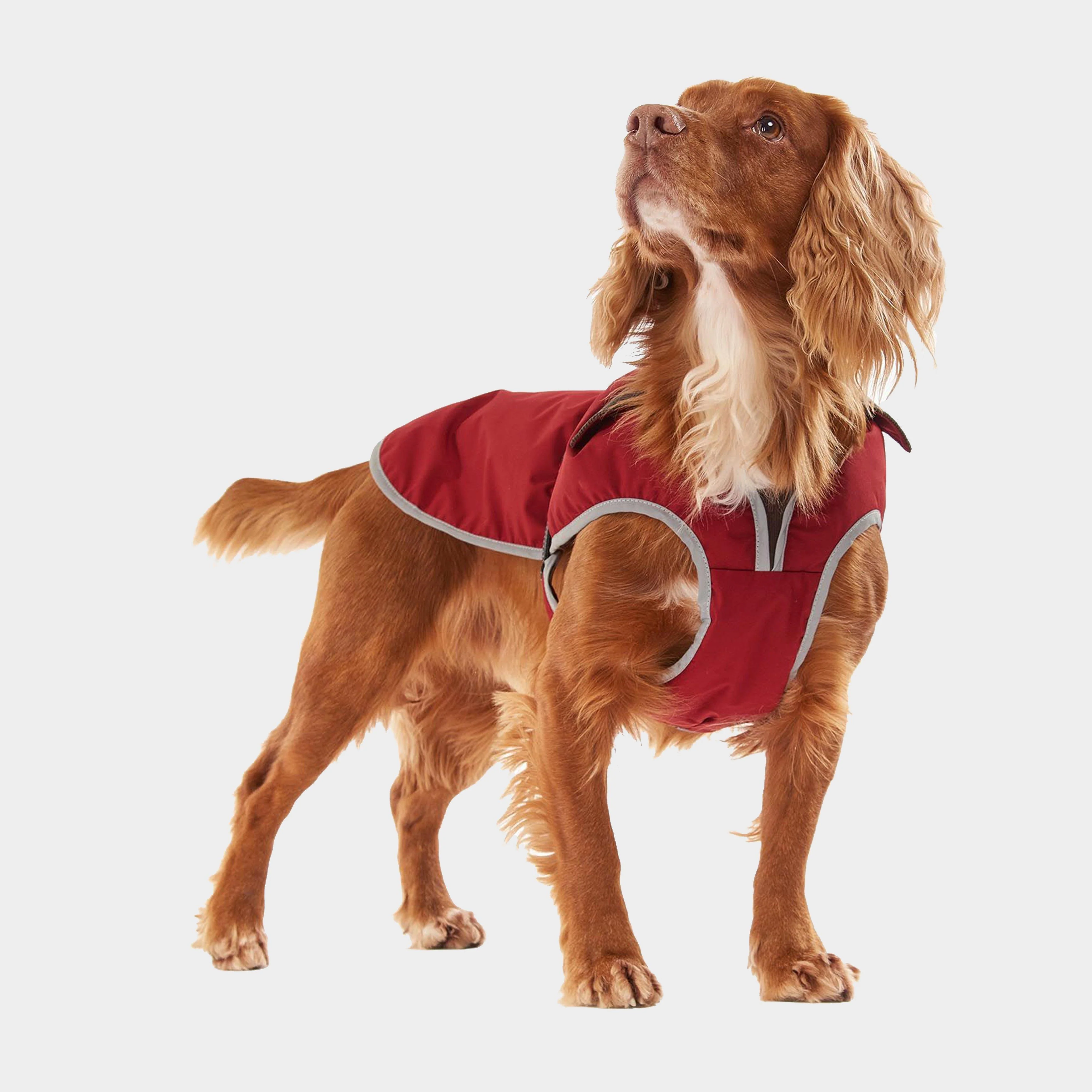 Monmouth Waterproof Dog Coat Red - Image 5