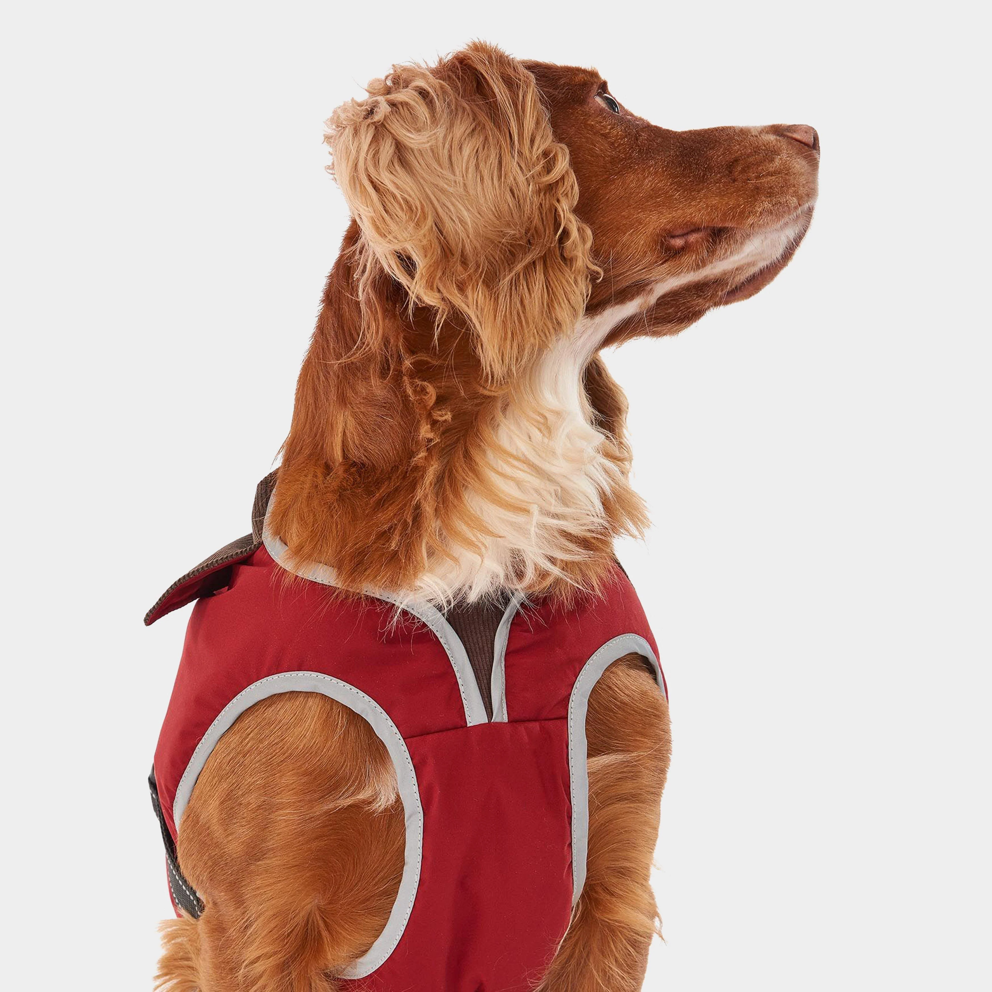 Monmouth Waterproof Dog Coat Red - Image 6
