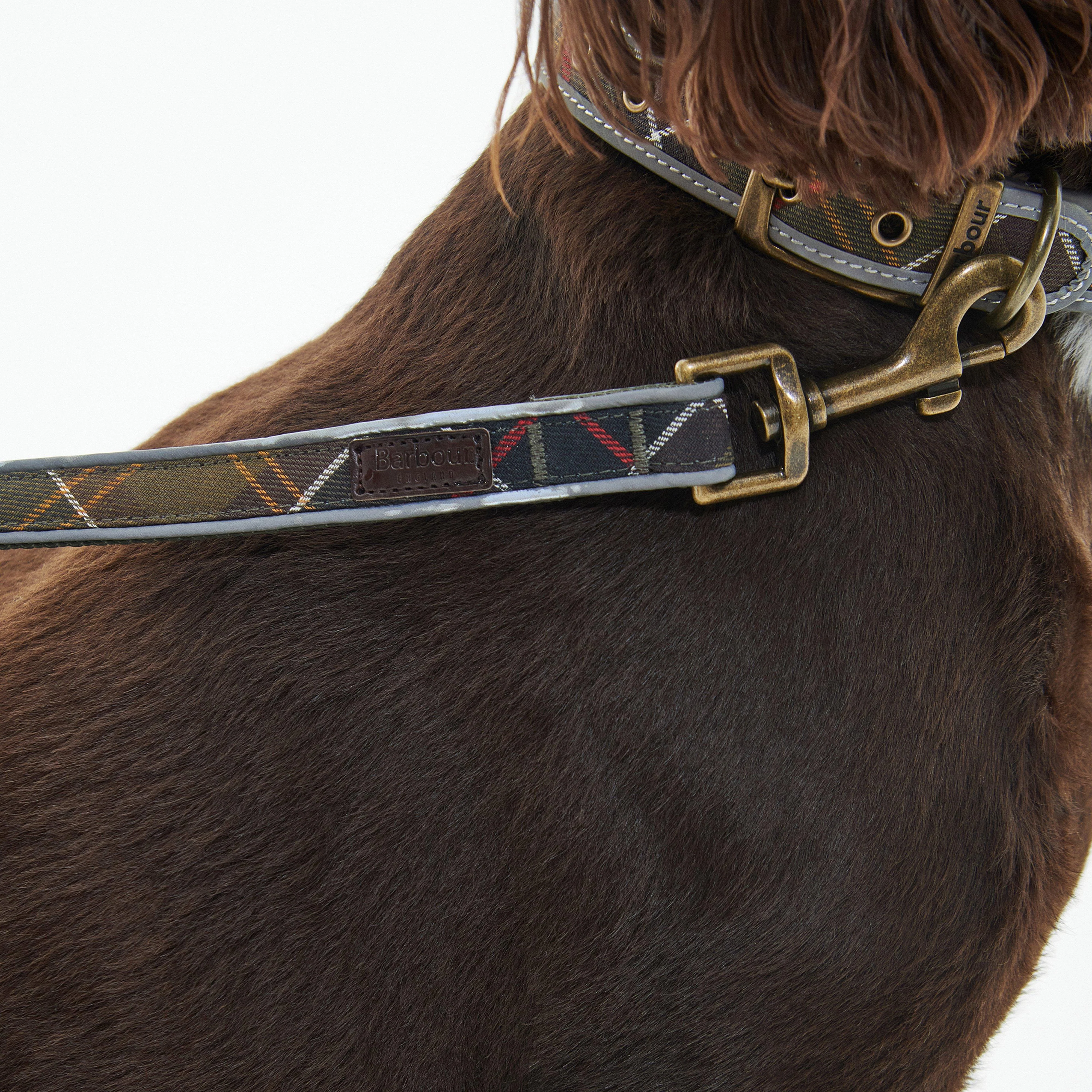 Reflective Tartan Comfort Dog Lead Classic Tartan - Image 4