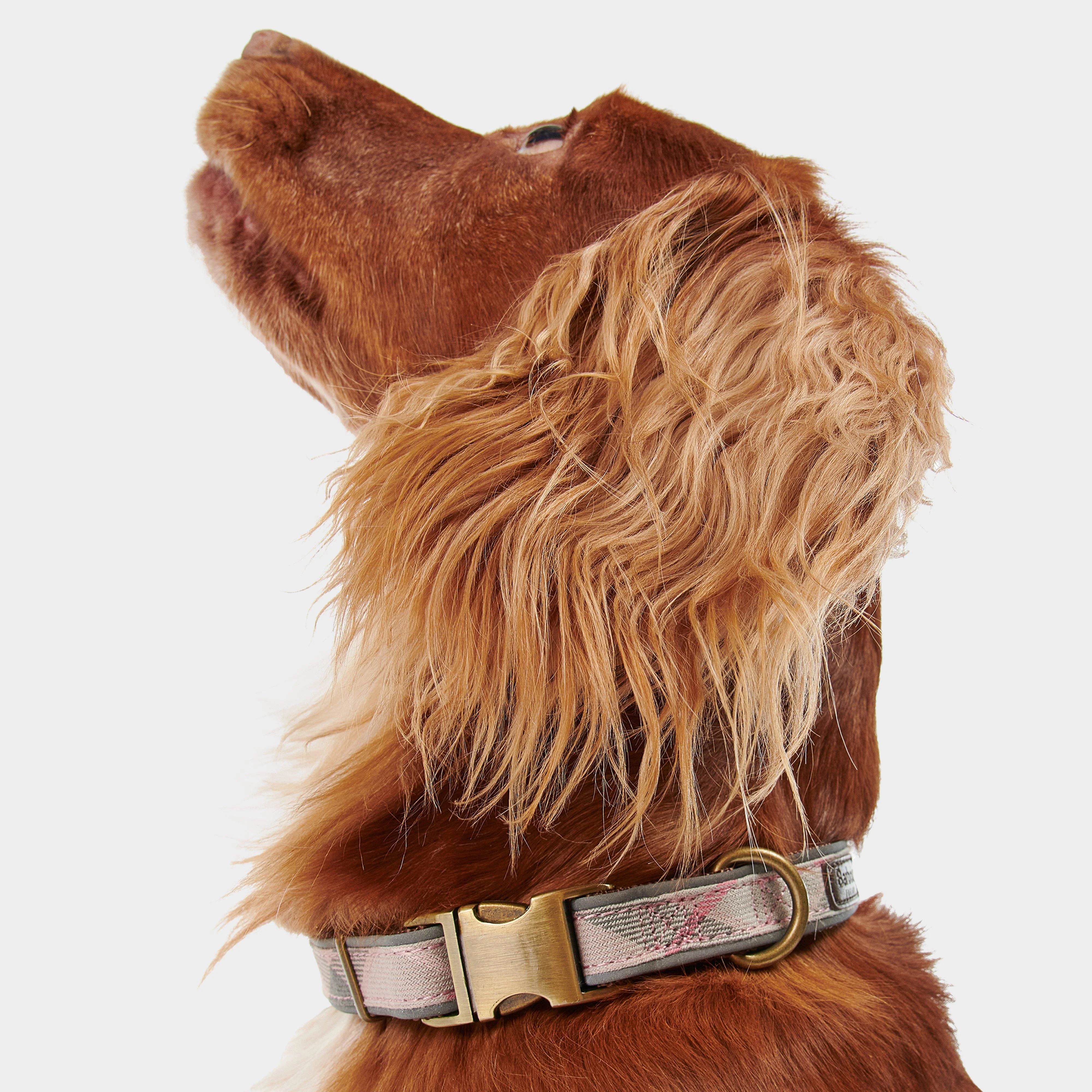 Reflective Tartan Dog Collar Taupe/Pink Tartan - Image 4