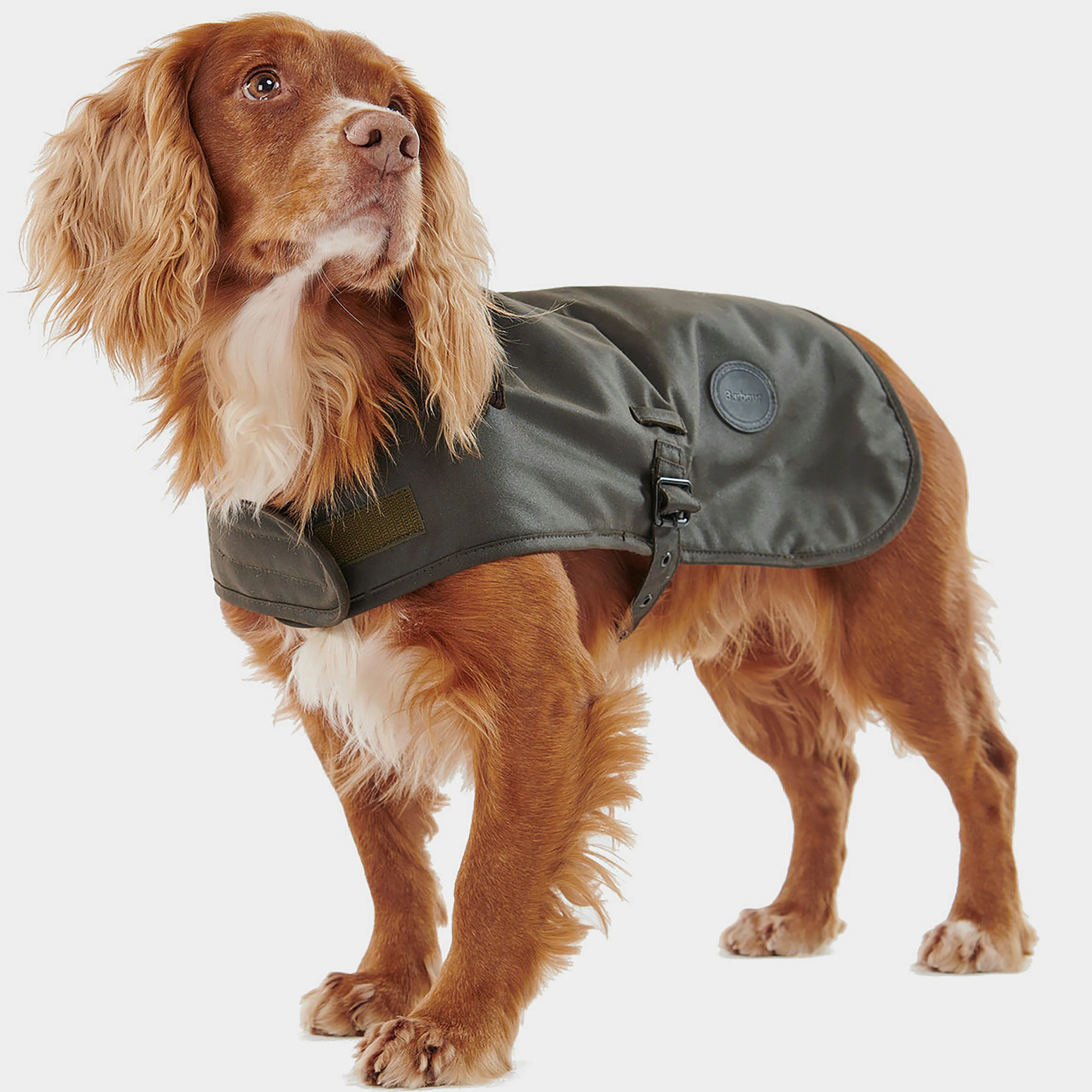 Shiny Wax Dog Coat Olive - Image 6