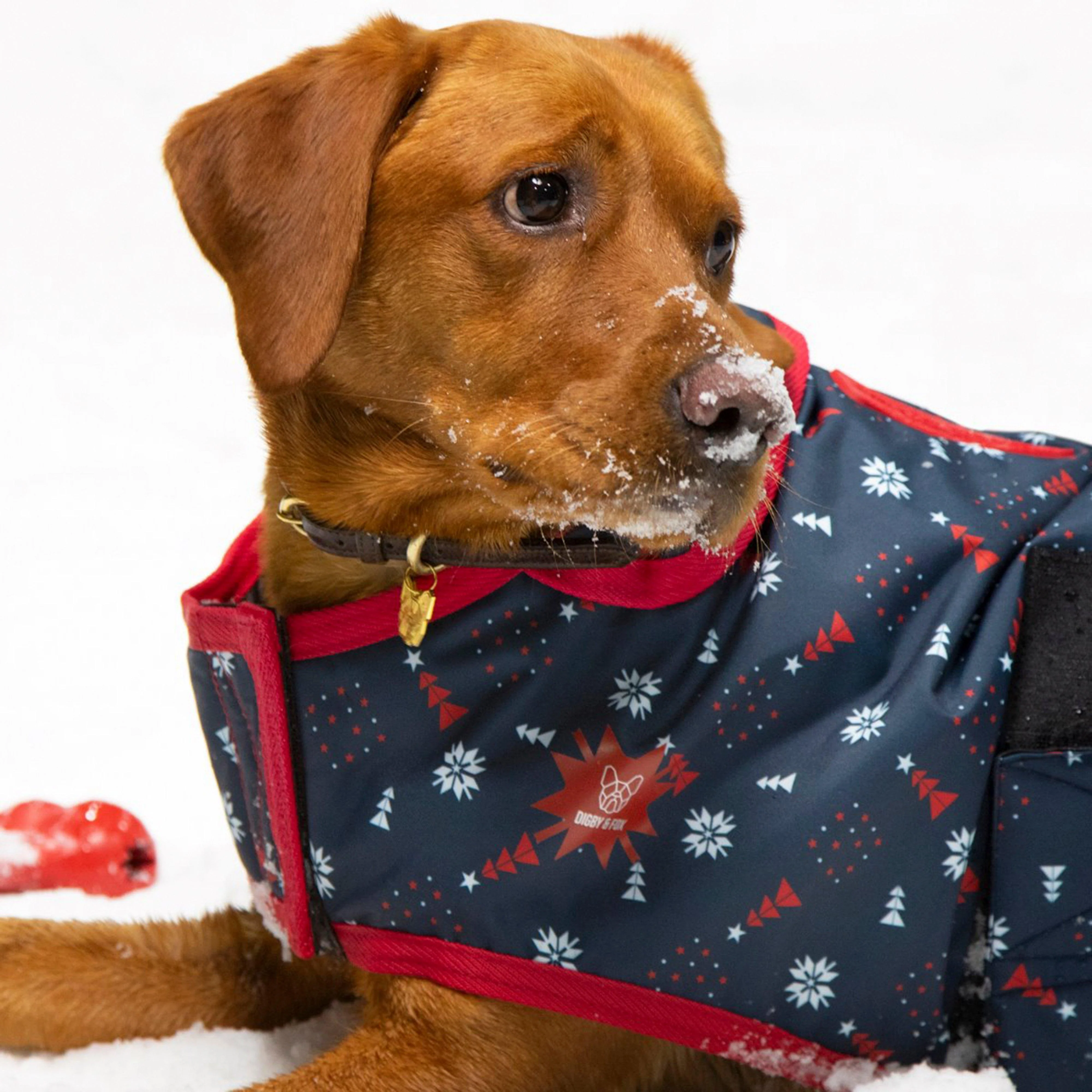 Christmas Dog Coat Navy - Image 3