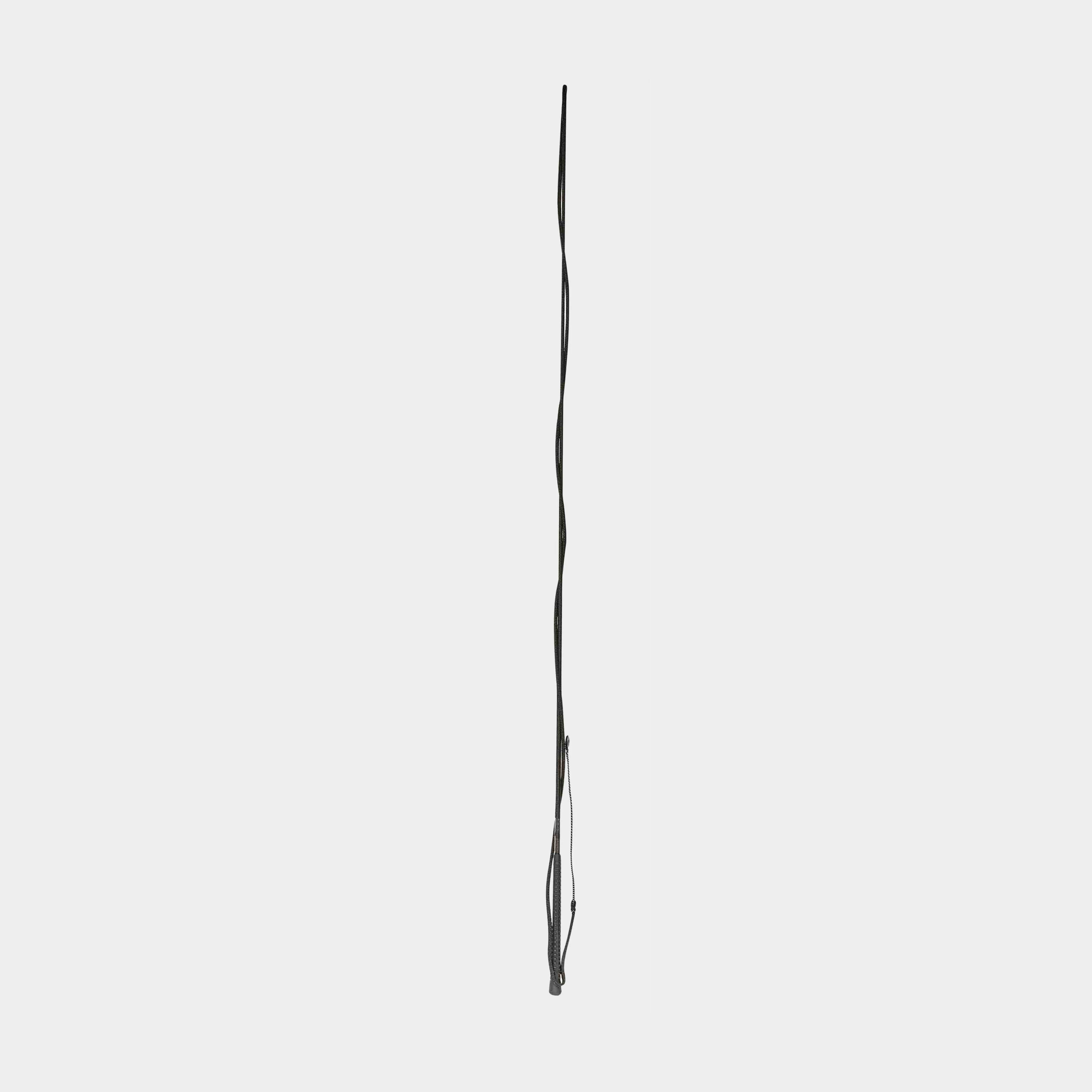 Brights Lunge Whip Black