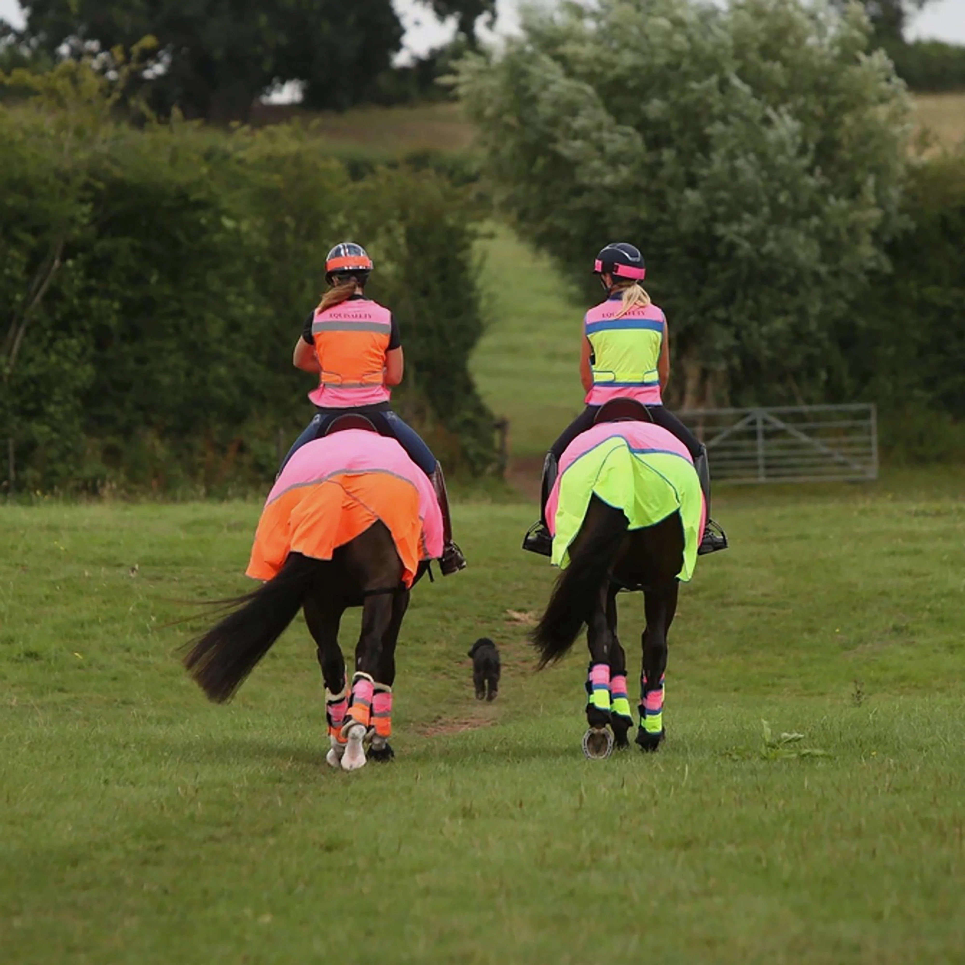 Charlotte Dujardin Multi-Coloured Horse Boots Pink/Orange - Image 2