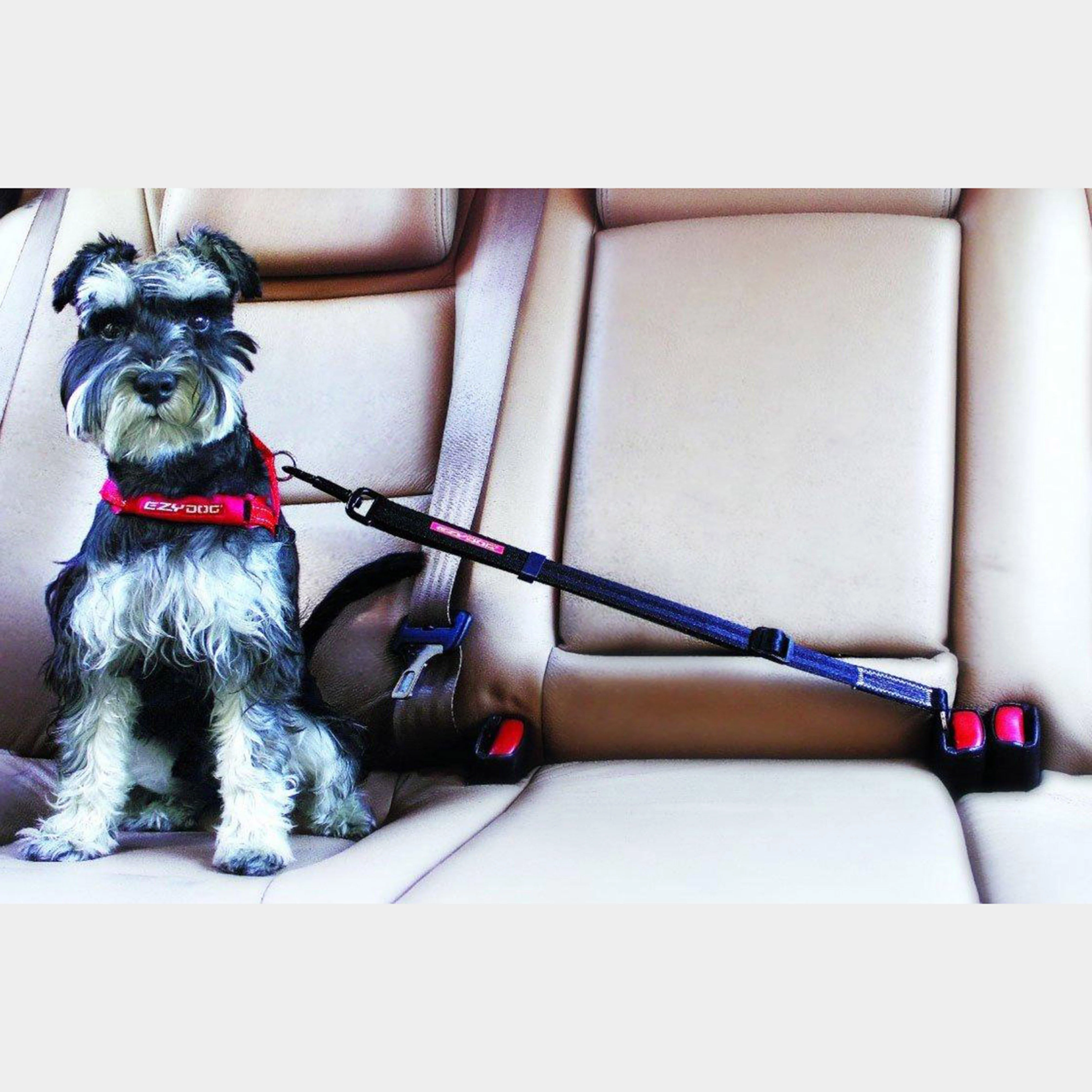 Click Adjustable Car Restraint Black - Image 2