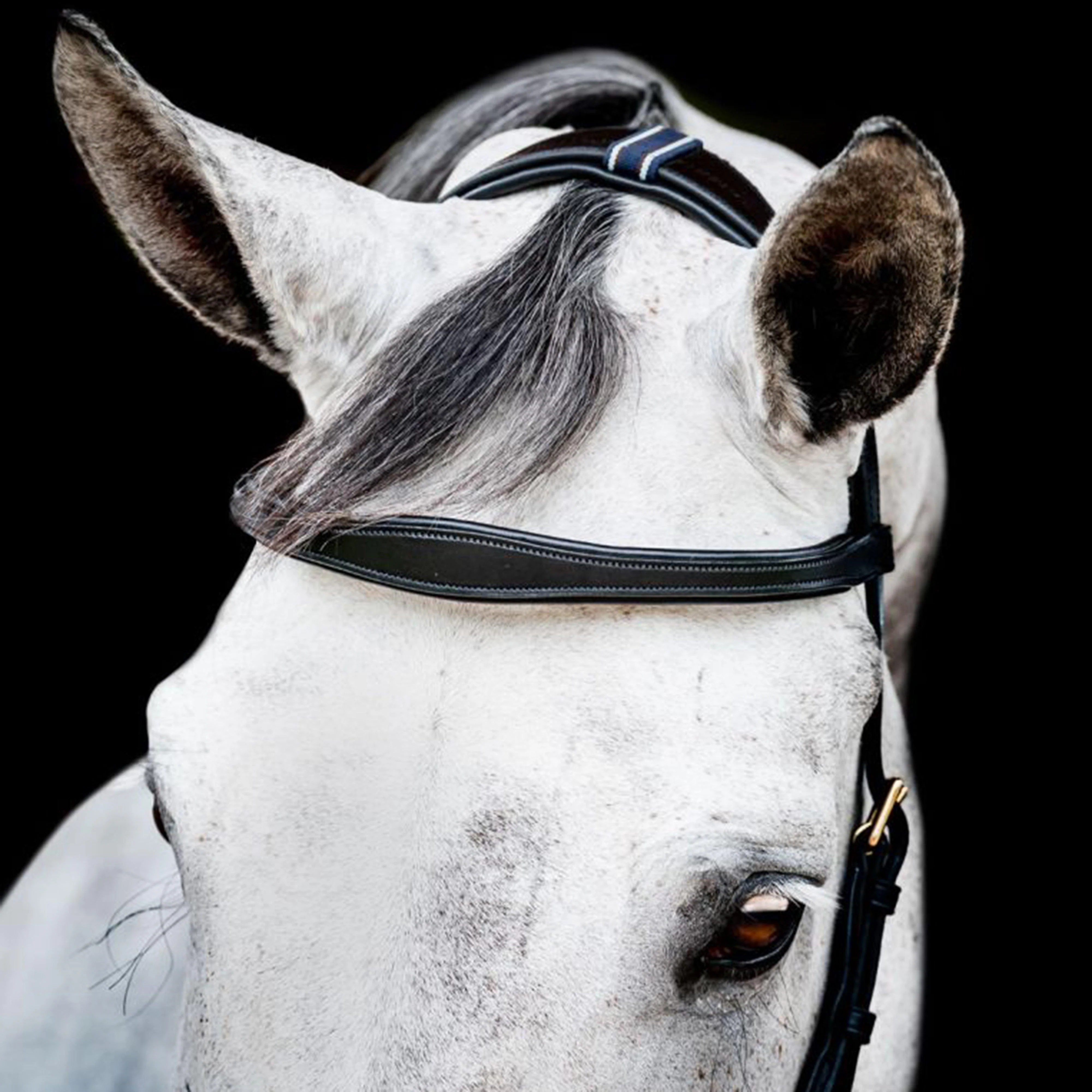 Micklem® 2 Multi Bridle Black - Image 2