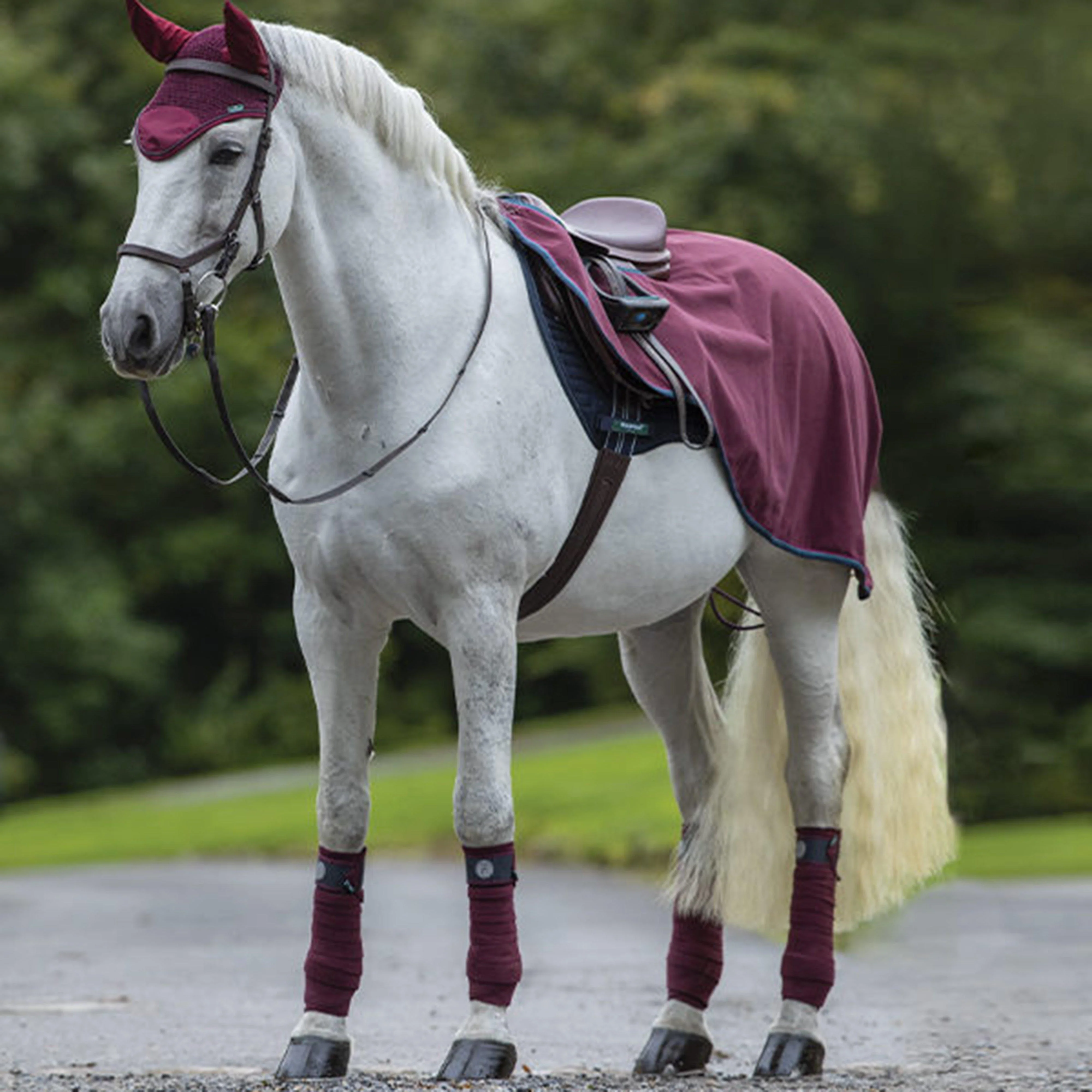 Rambo® Fleece Competition Sheet Burgundy - Image 4