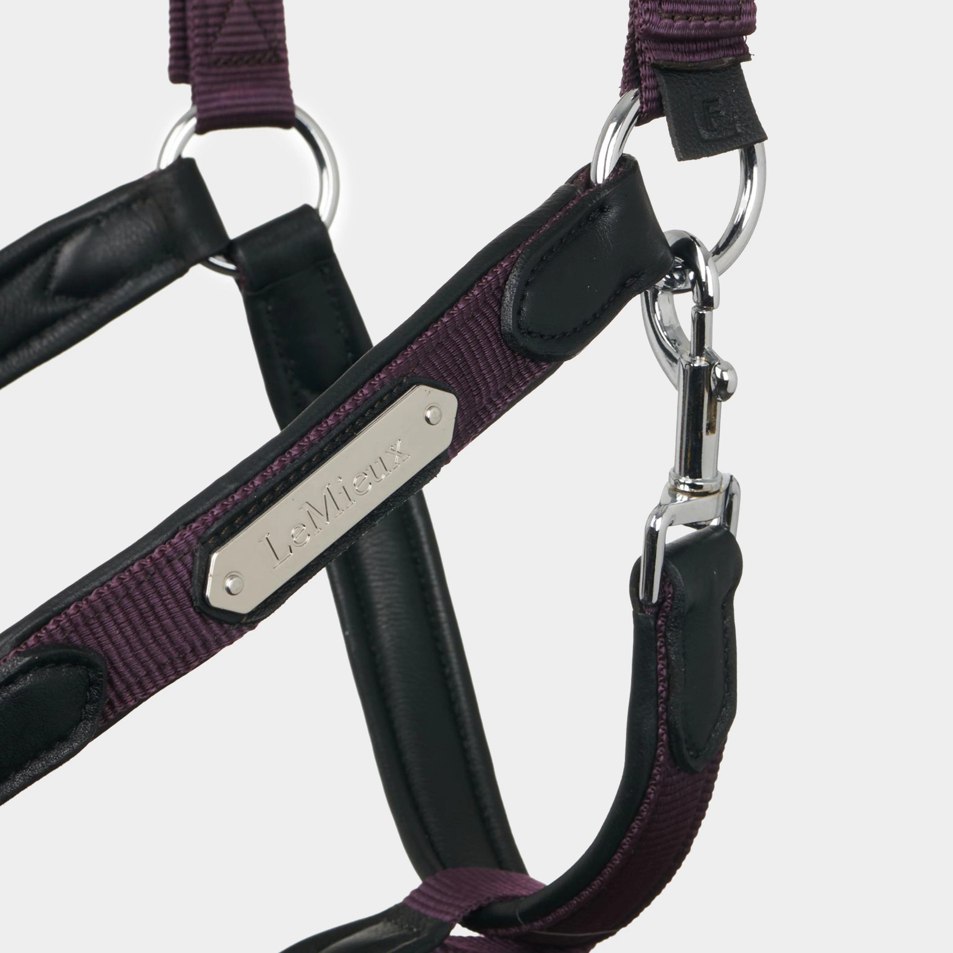Capella Headcollar Fig - Image 3