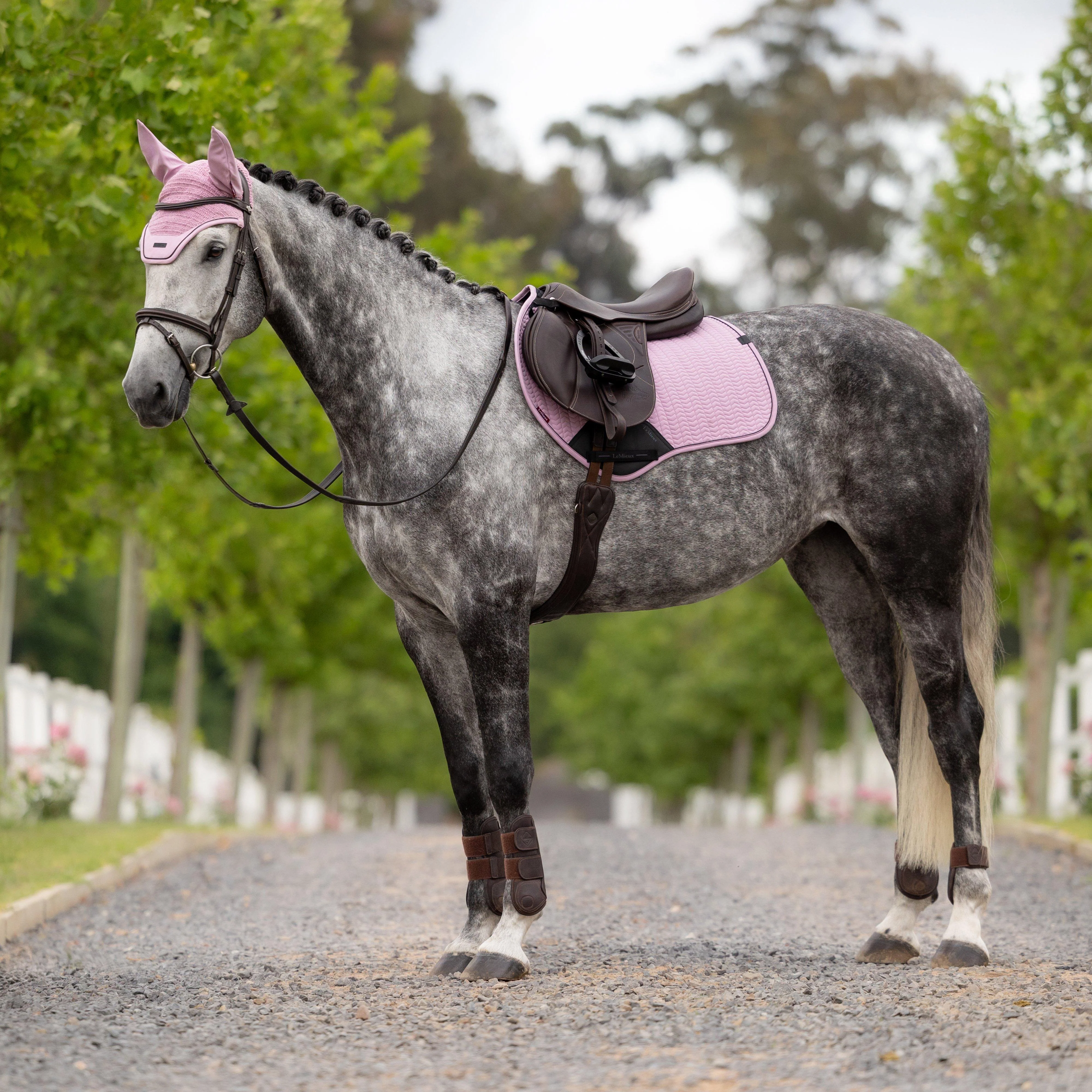 Essence Close Contact Square Saddle Pad Fondant - Image 7