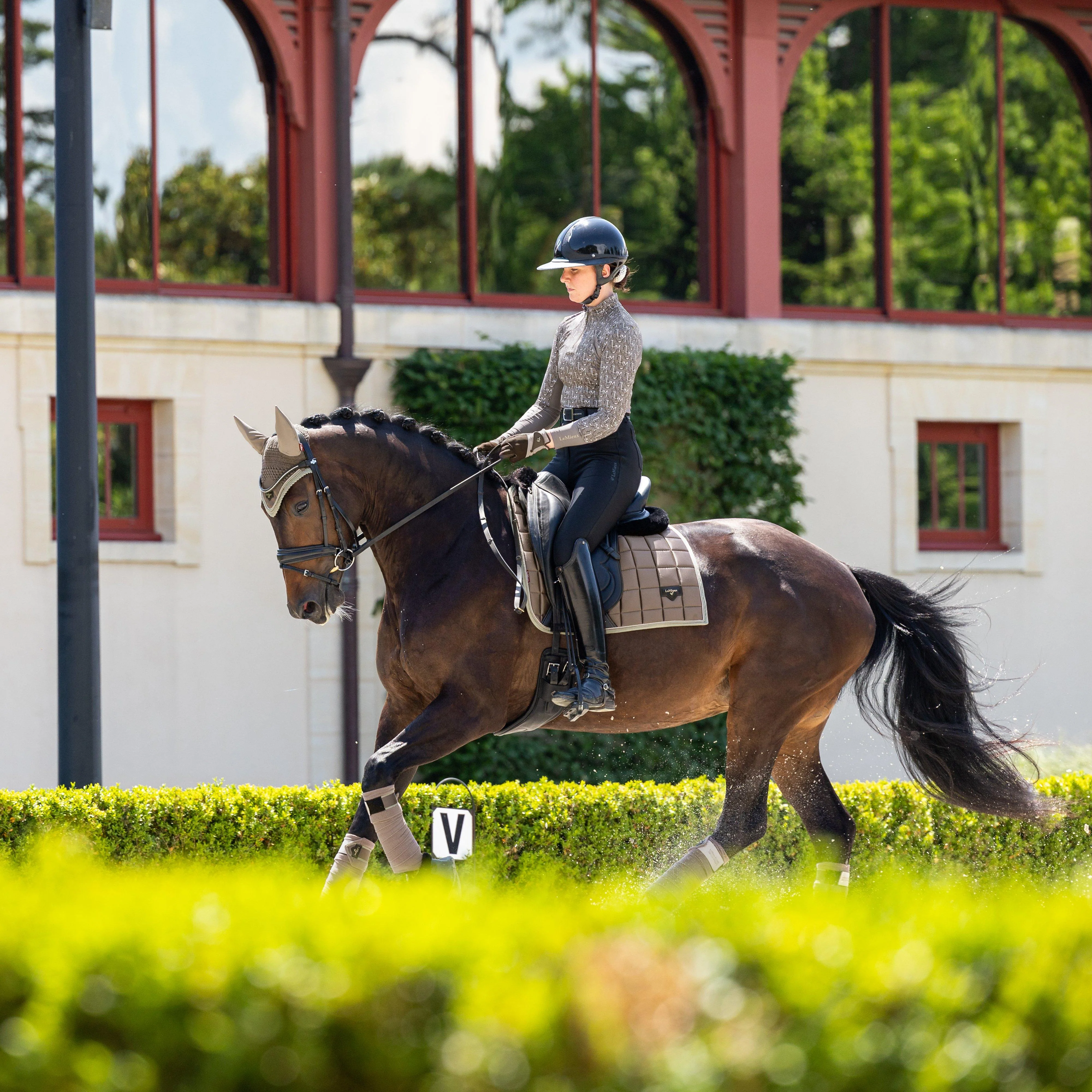 Loire Classic Dressage Saddle Pad Walnut - Image 9