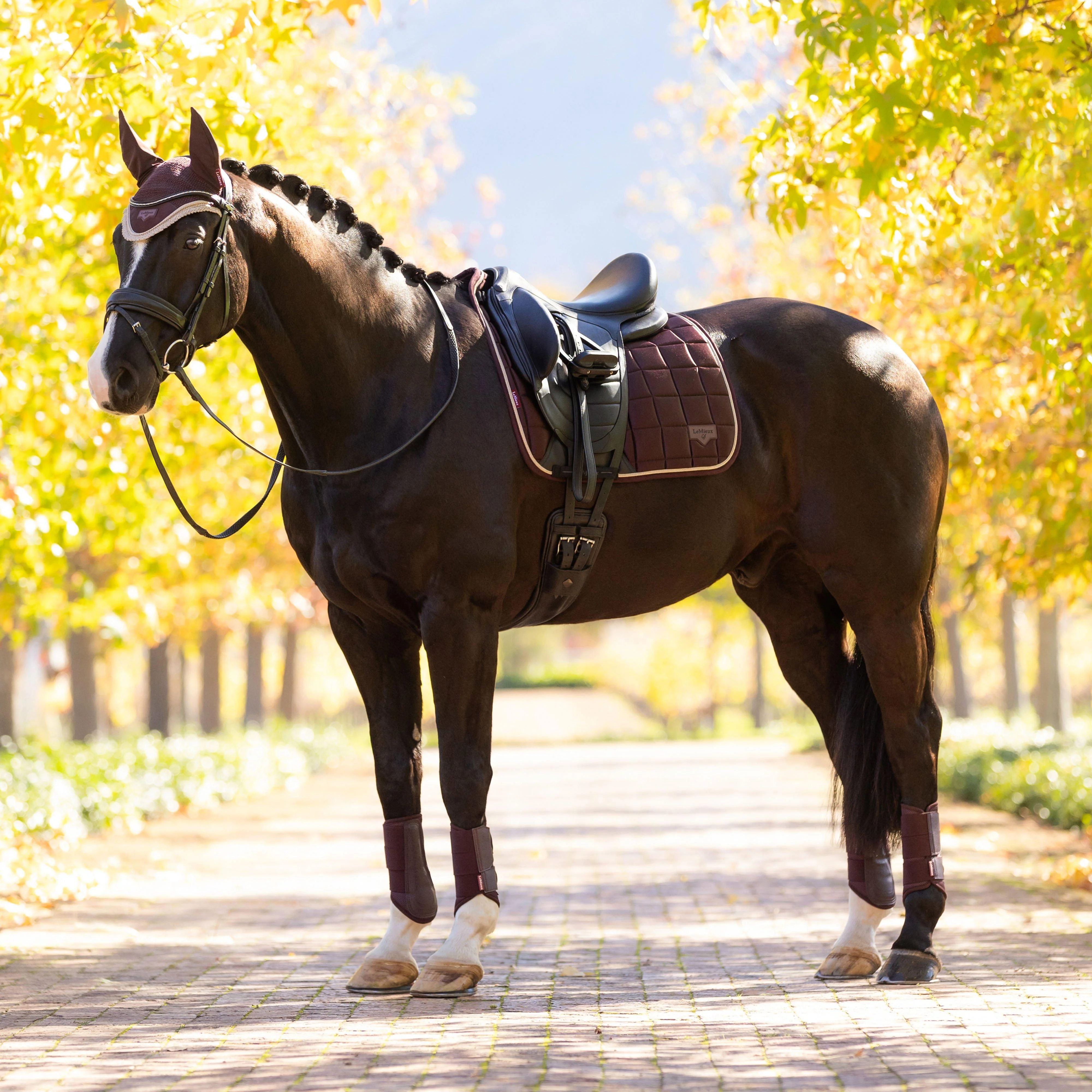 Loire Dressage Saddle Pad Damson - Image 3