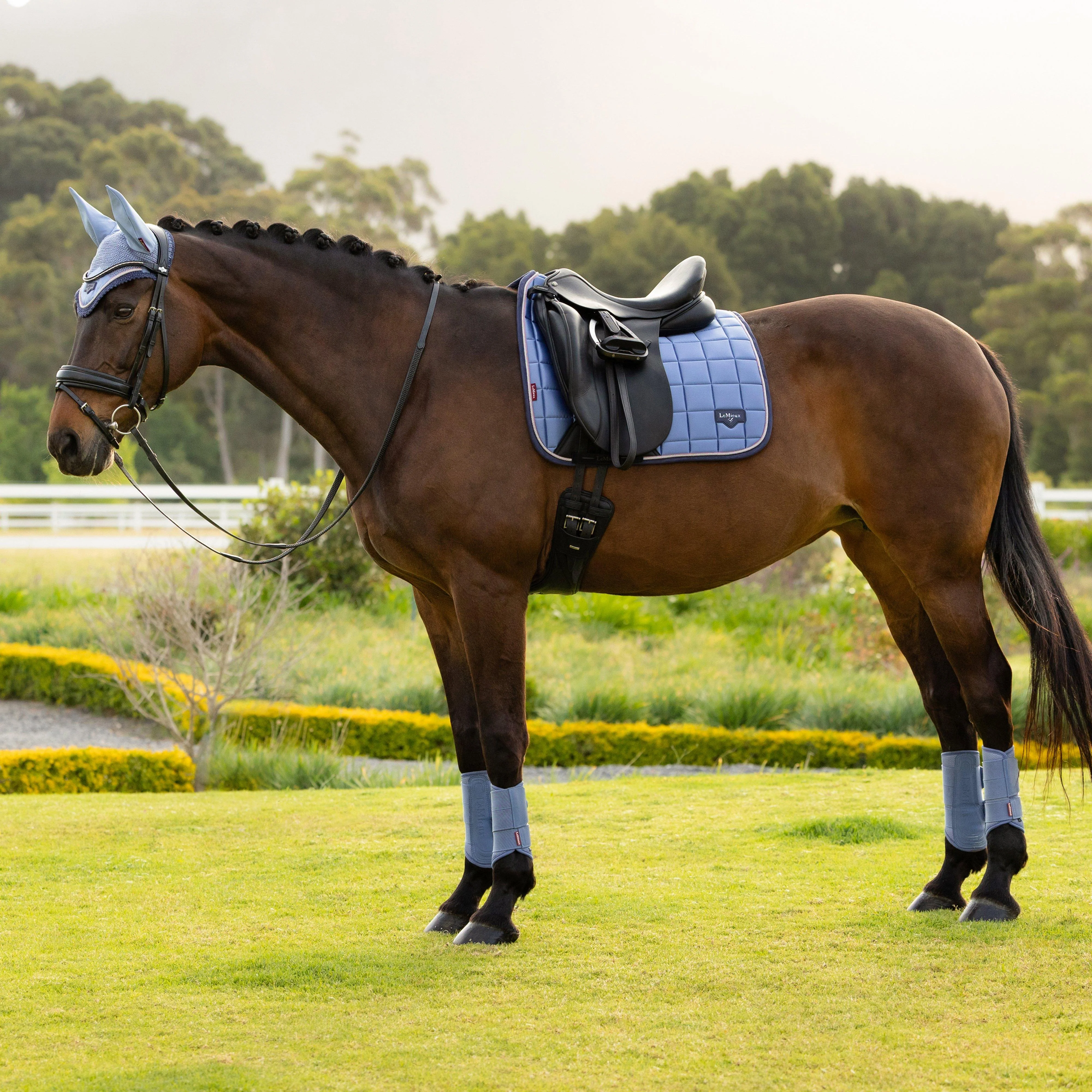 Loire Dressage Saddle Pad Powder Blue - Image 3
