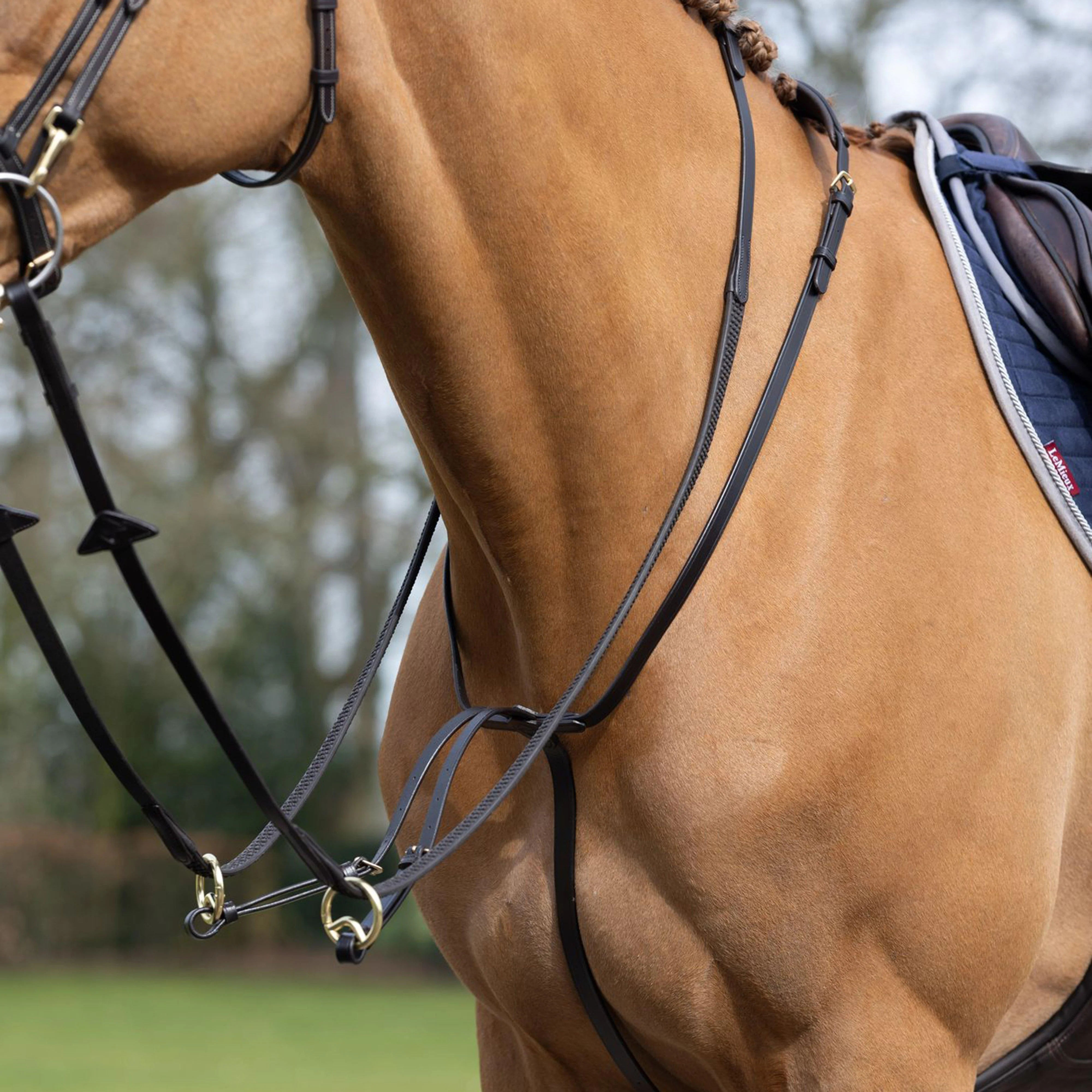 Running Martingale Brown - Image 5