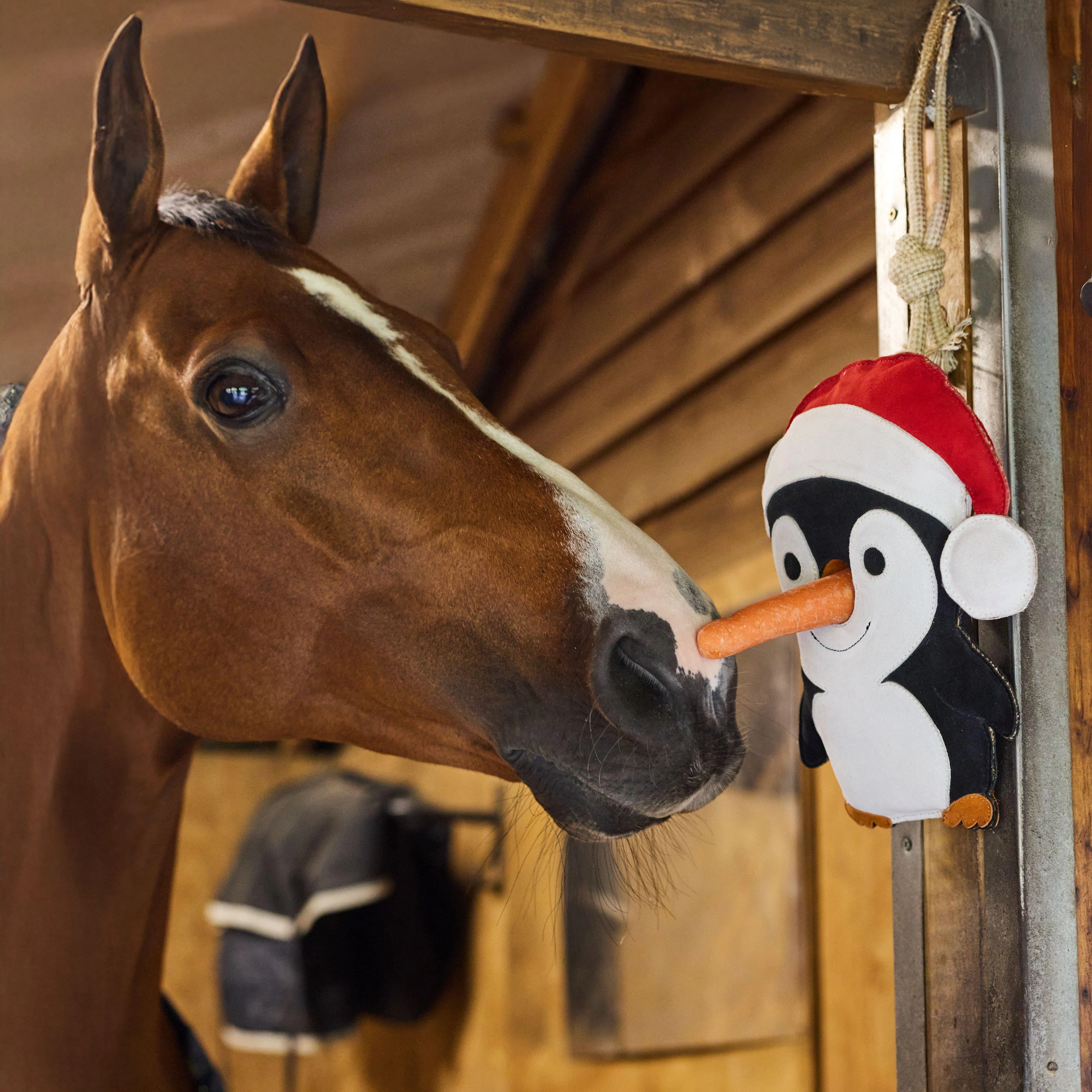 Stable Toy Penguin - Image 3