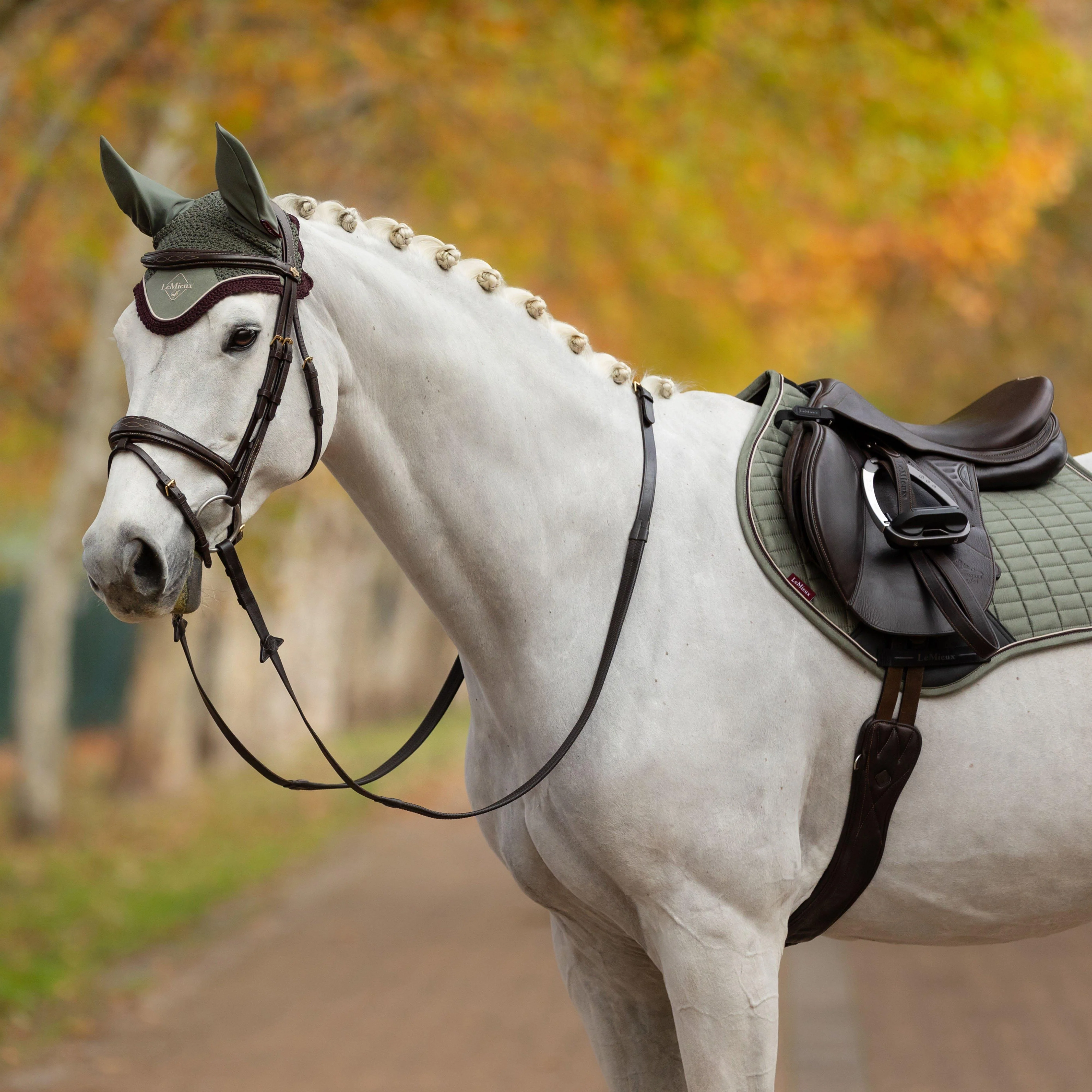 Suede Close Contact Saddle Pad Rosemary - Image 3