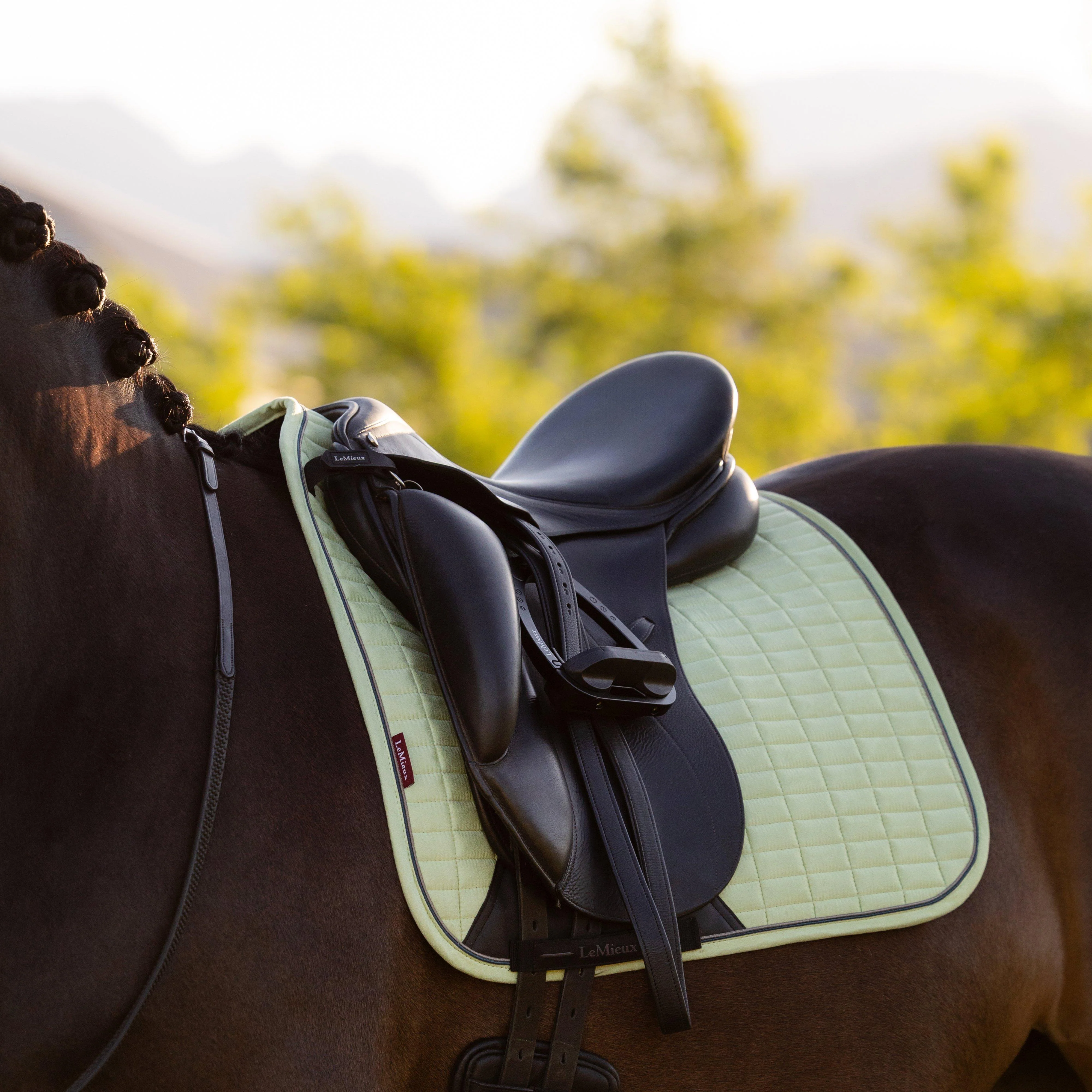 Suede Dressage Saddle Pad Macaron - Image 4
