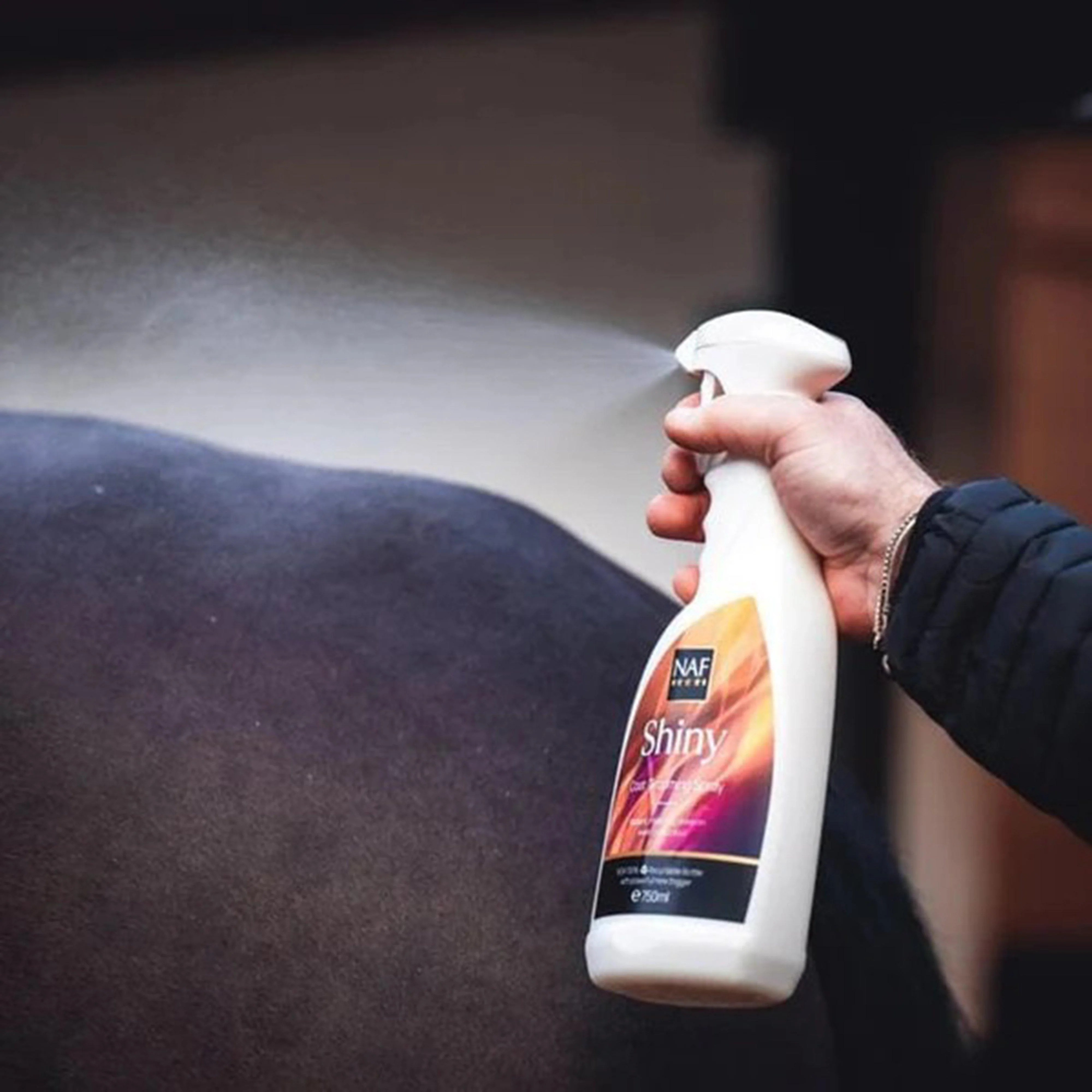 Shiny Spray 750ml - Image 3