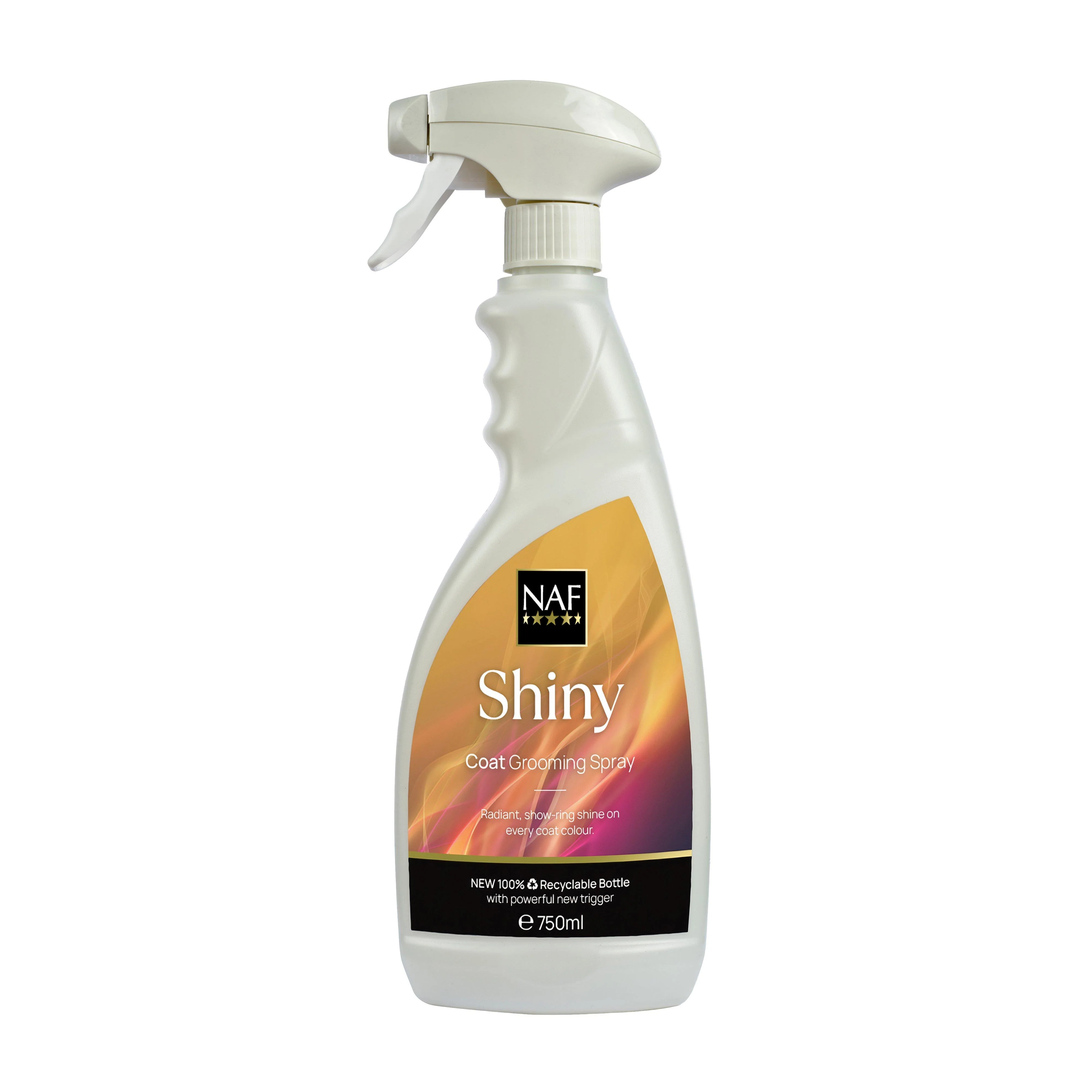 Shiny Spray 750ml - Image 4