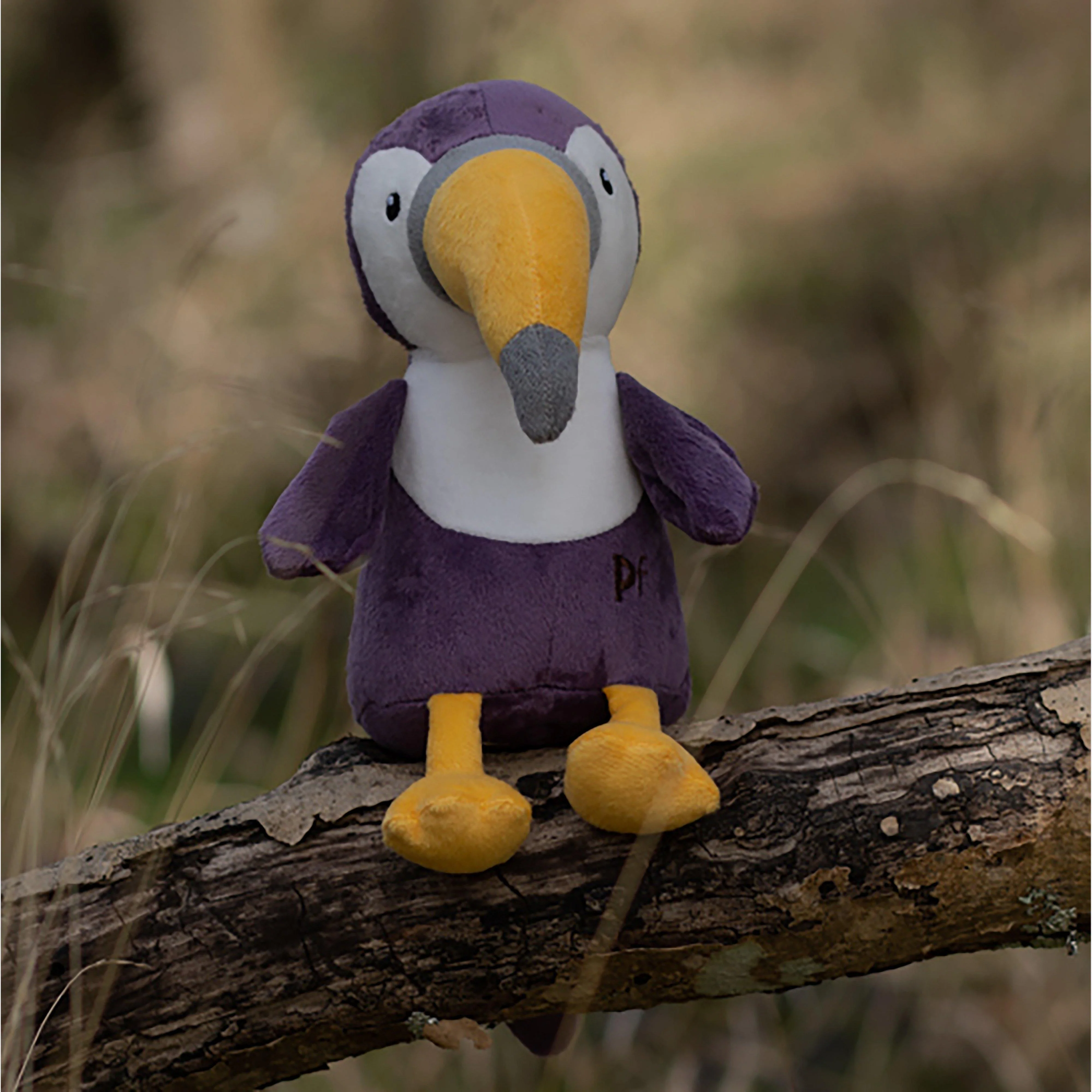 Planet Toucan - Image 5