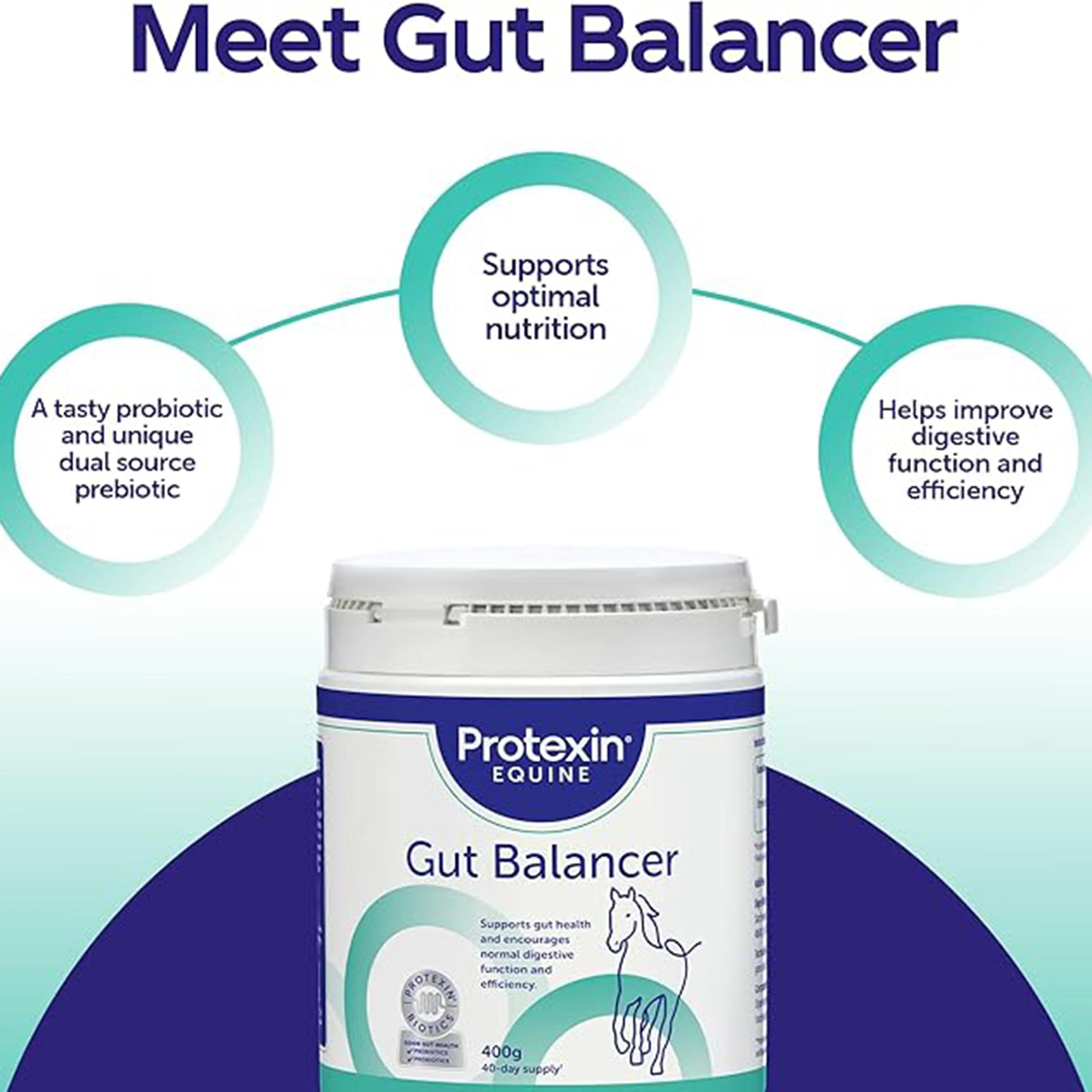 Gut Balancer - Image 2