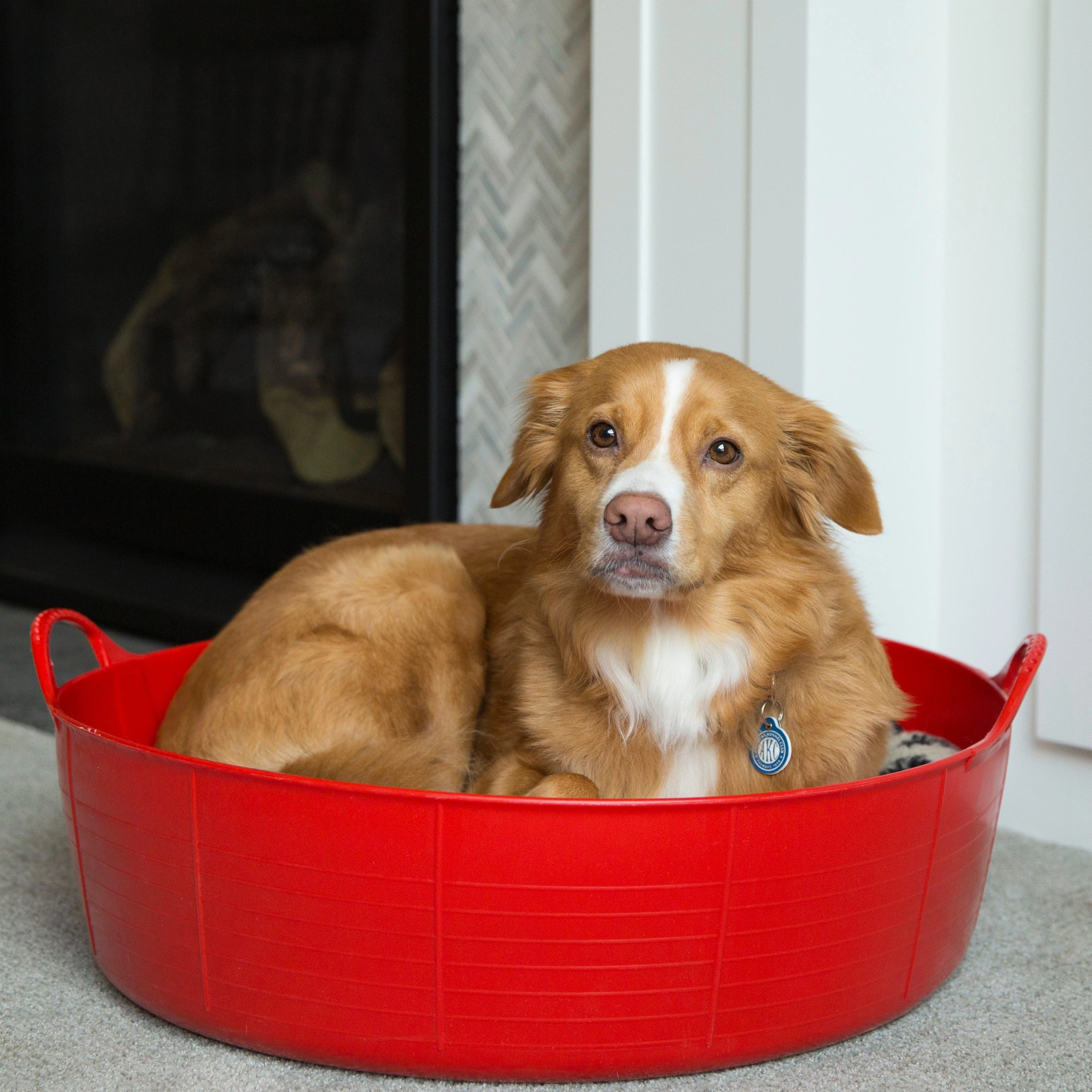 Flexible Shallow Bucket Red - Image 3