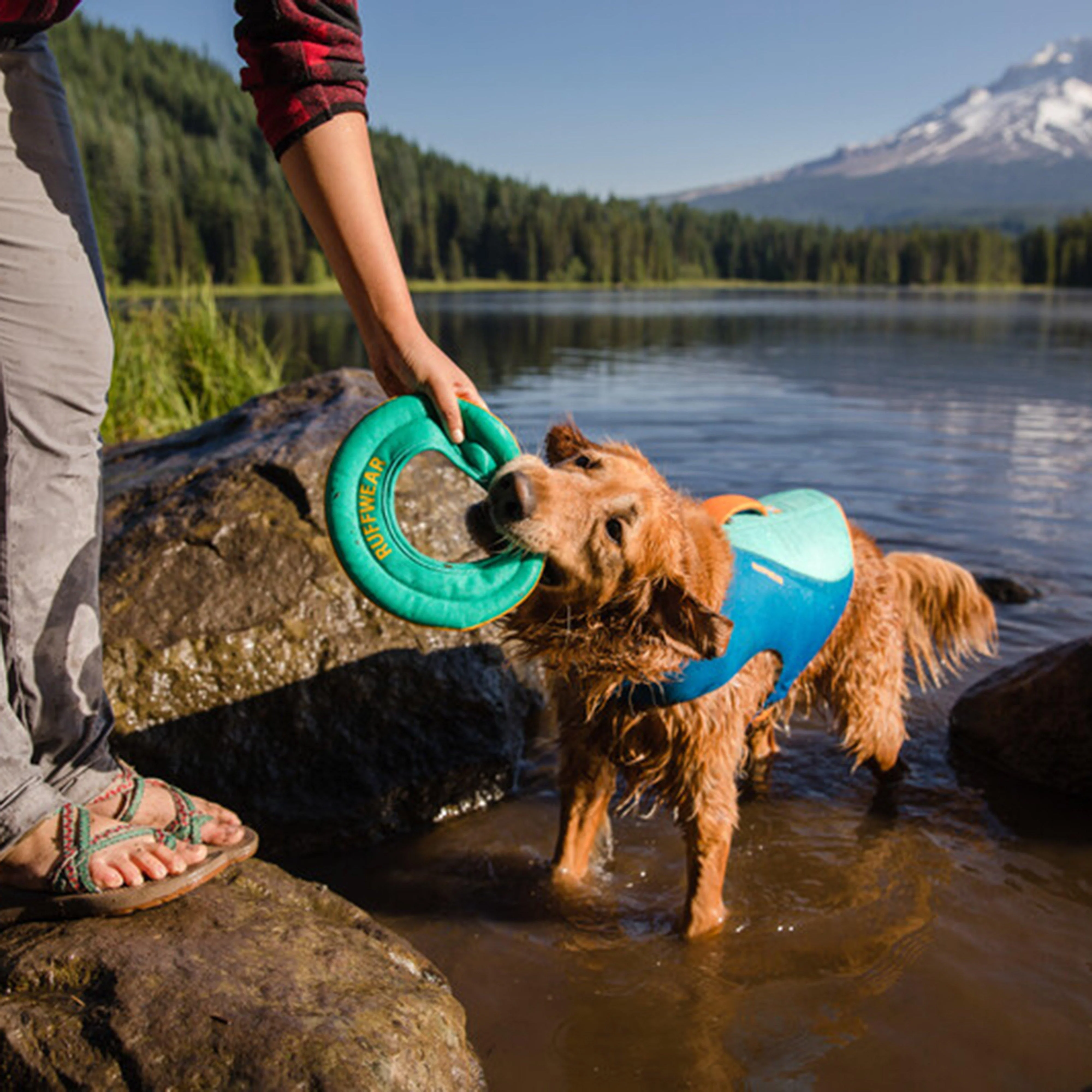 Hydro Plane Floating Throw Dog Toy Teal Large - Image 4