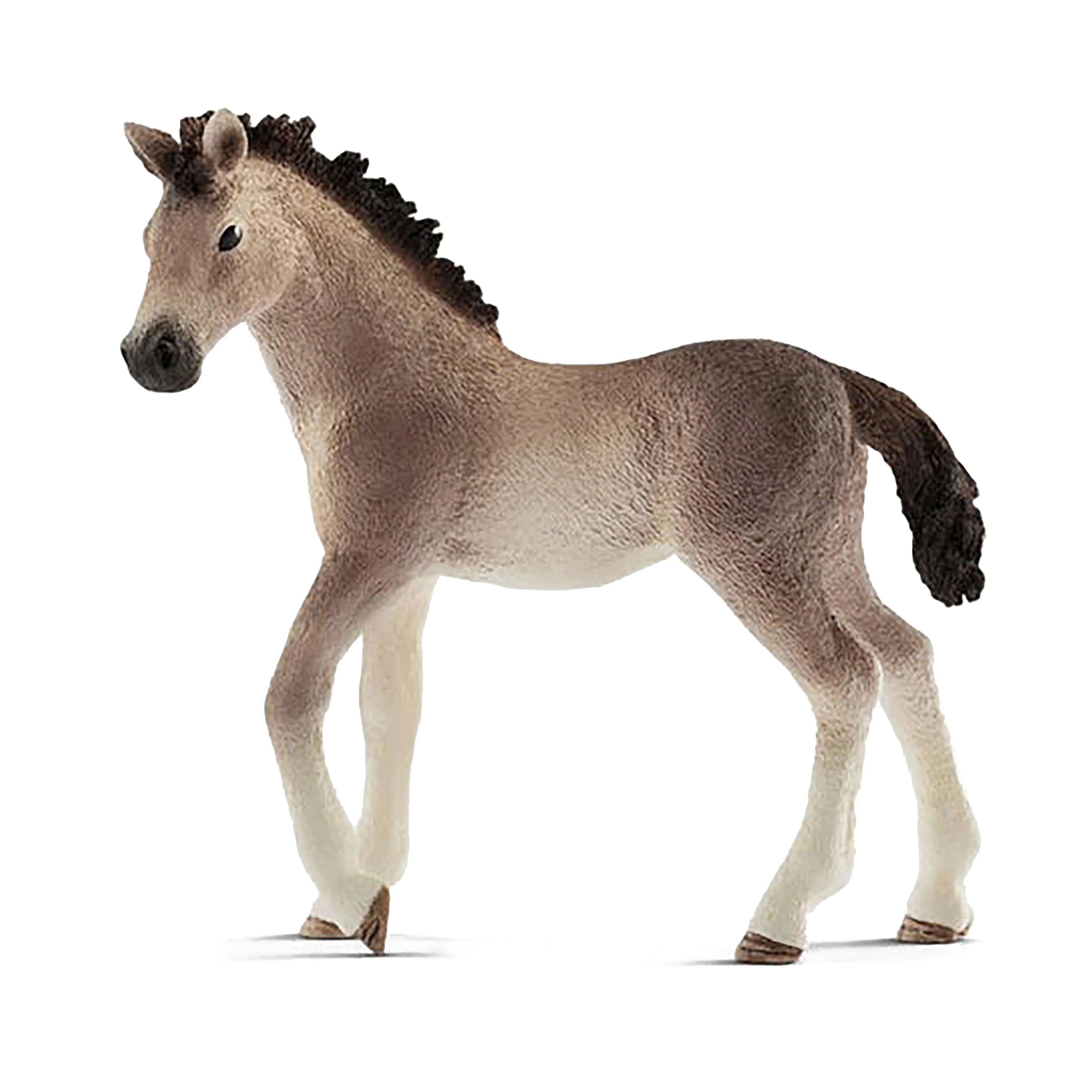 Andalusian Foal - Image 2