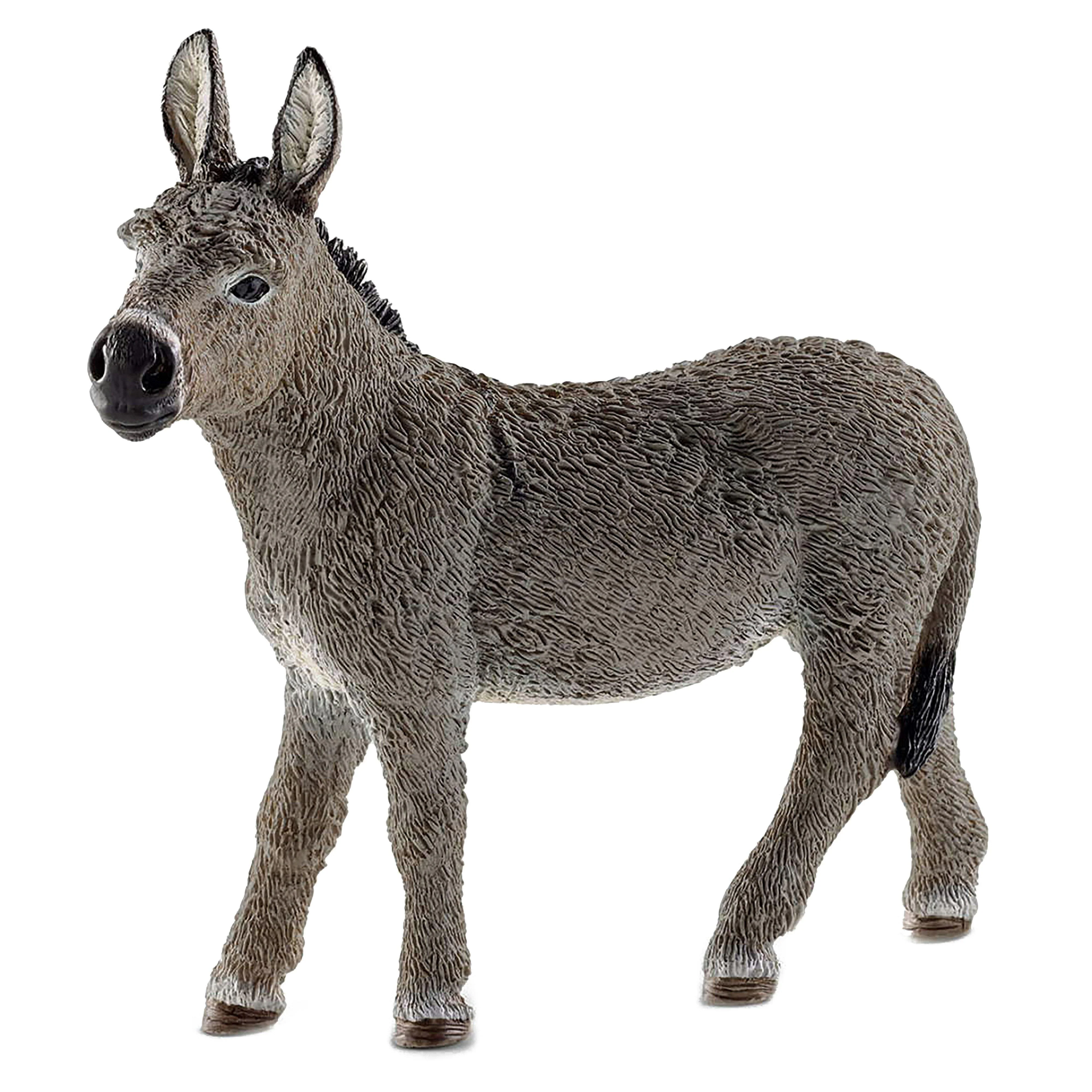 Donkey - Image 2