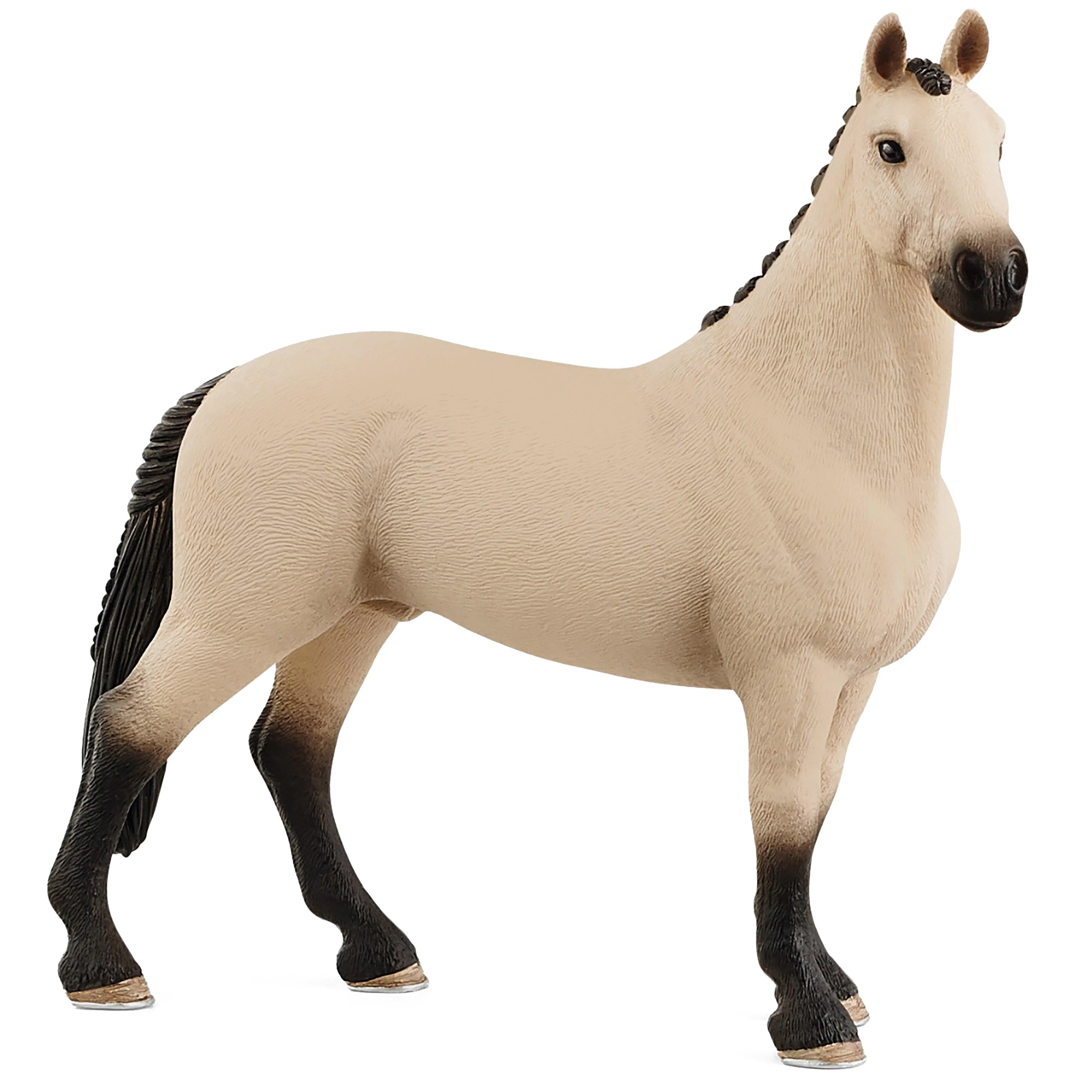 Hannoverian Gelding 2021 - Image 2