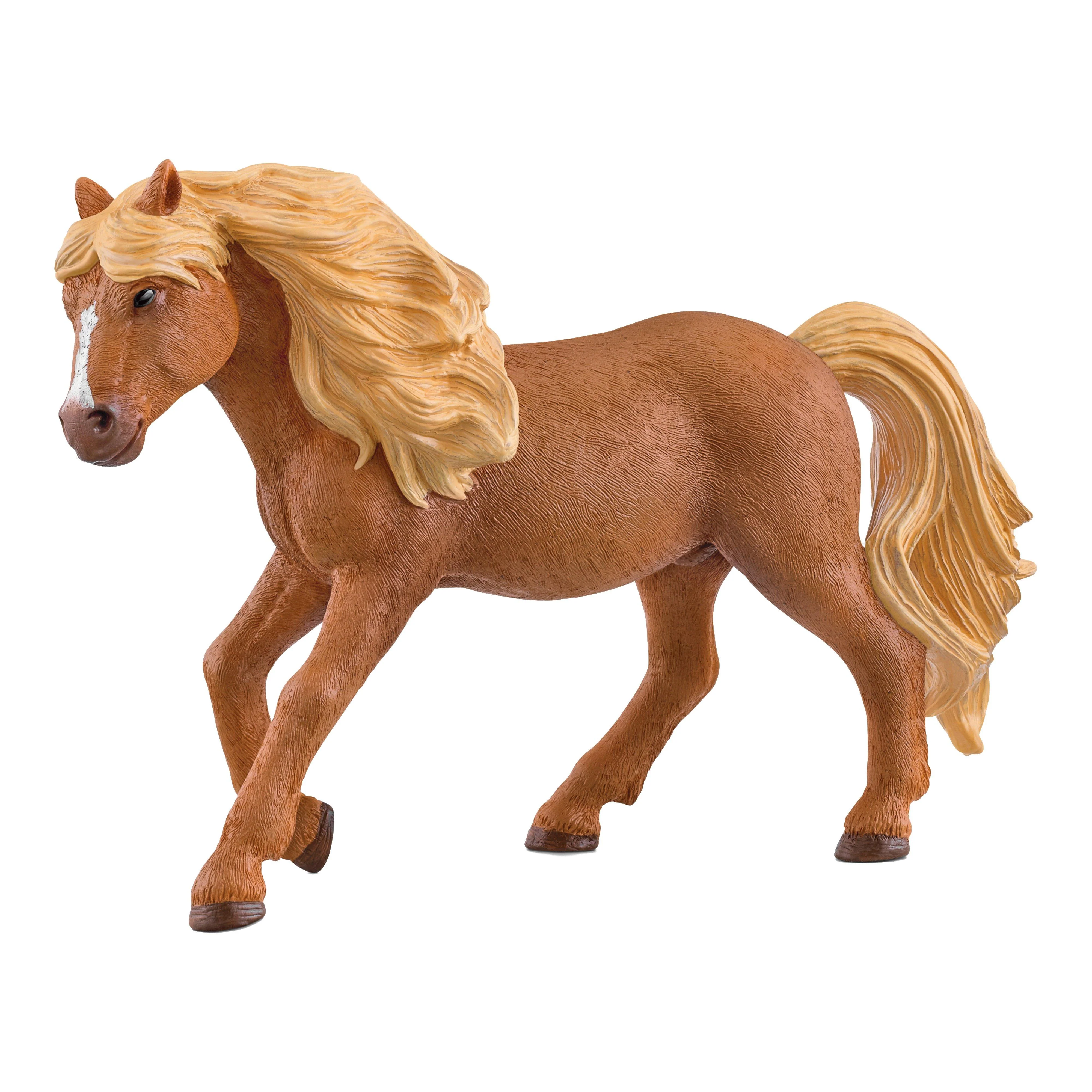 Icelandic Pony Stallion - Image 2