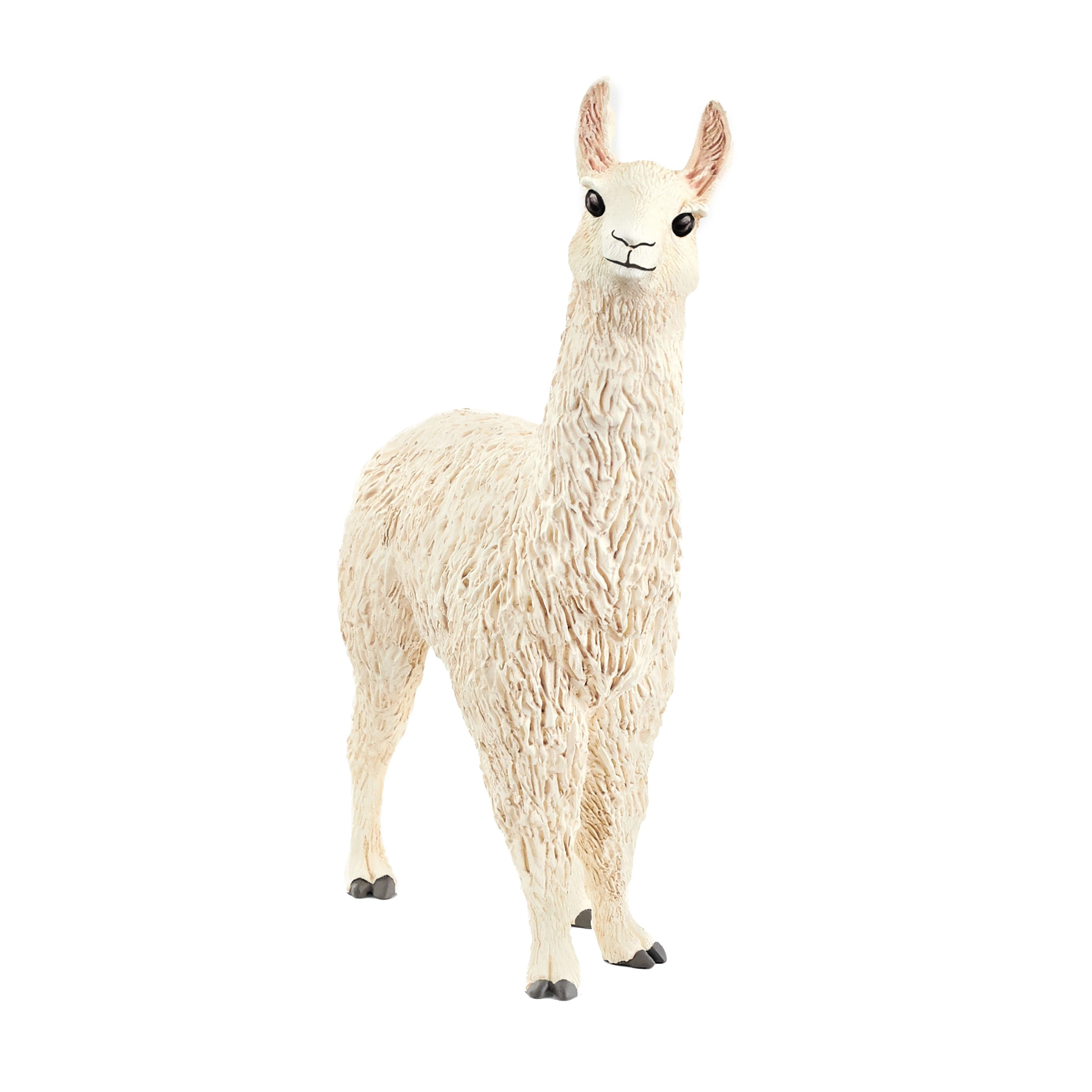 Llama - Image 2