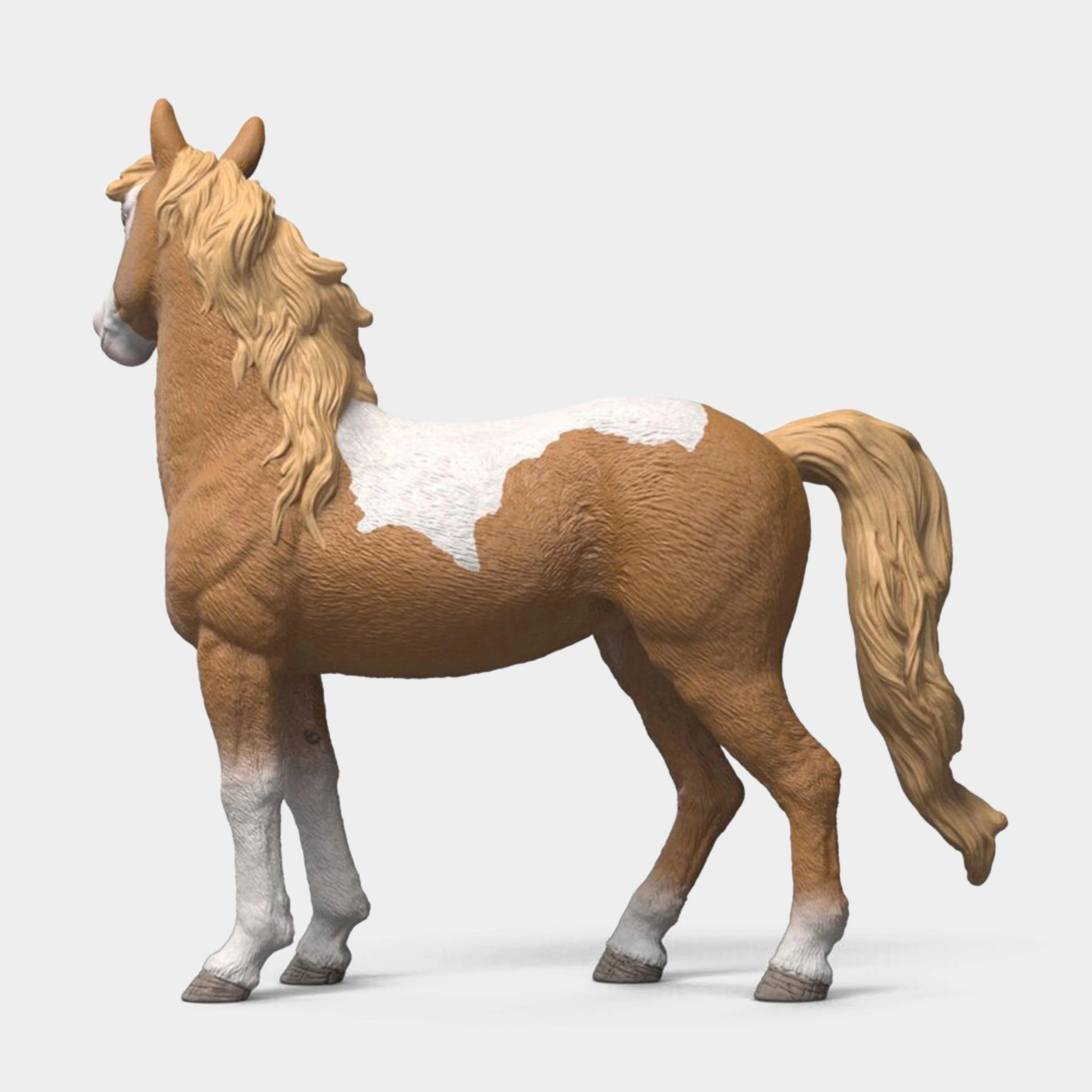 Mustang Mare - Image 4