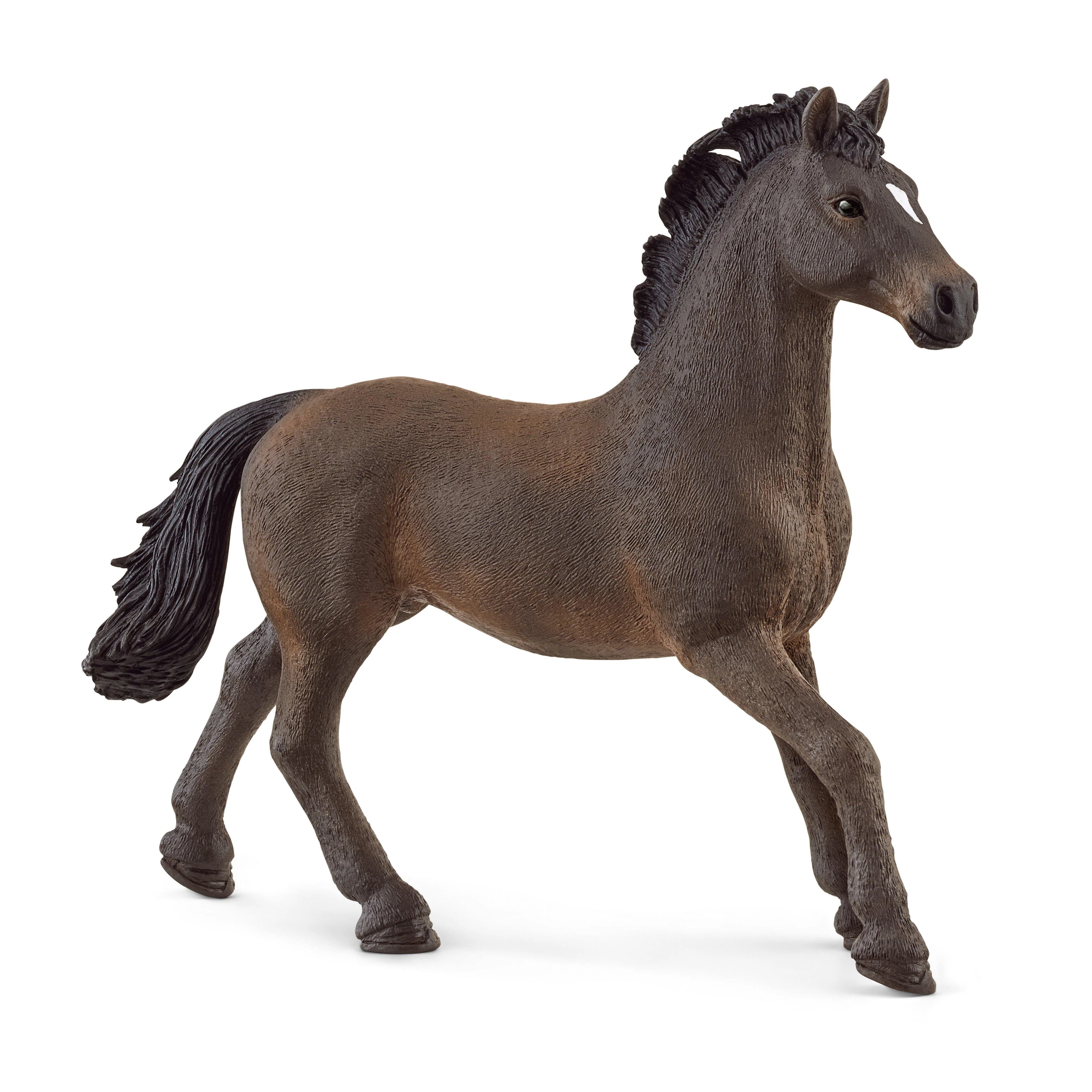 Oldenburger Stallion - Image 2