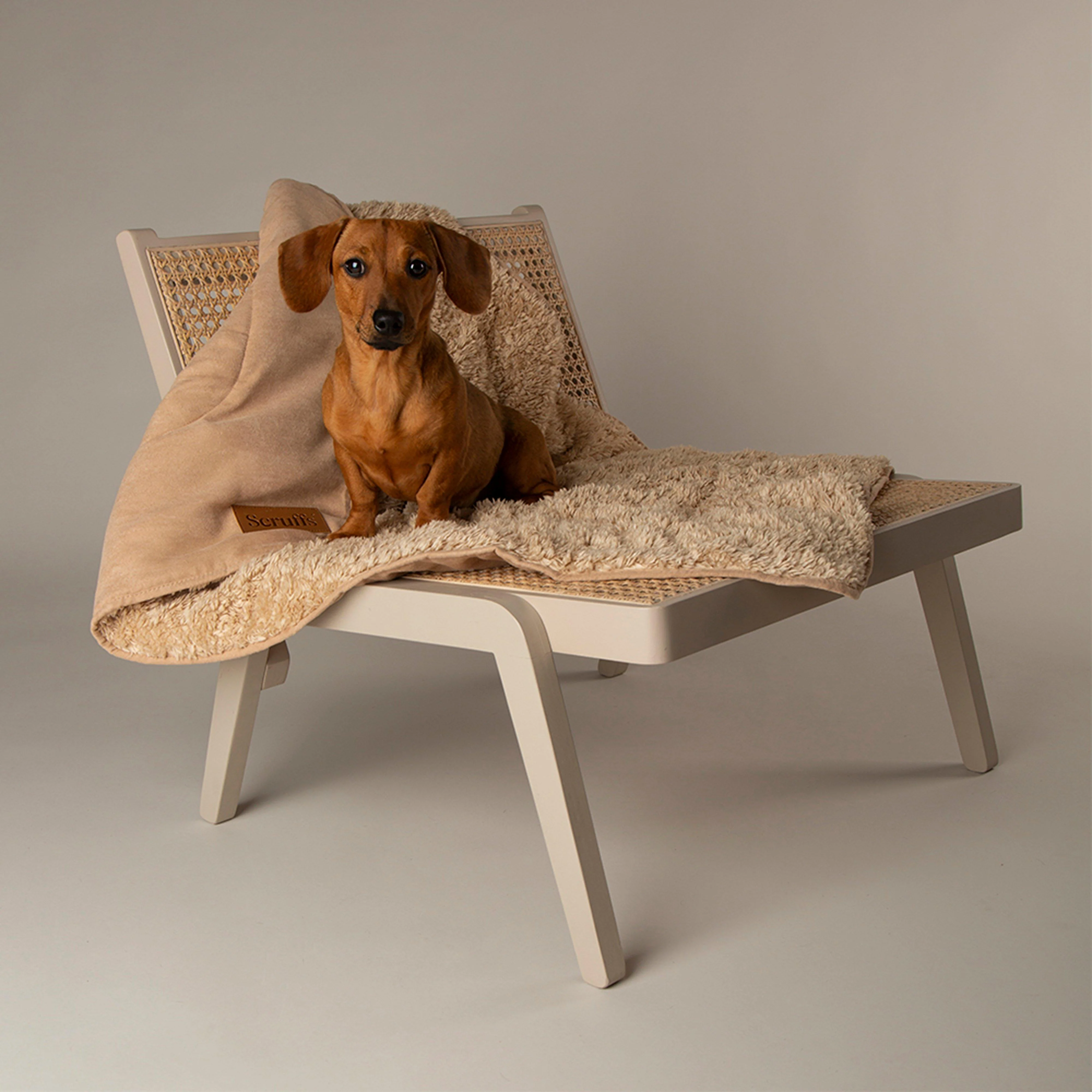 Snuggle Blanket Desert Sand - Image 3