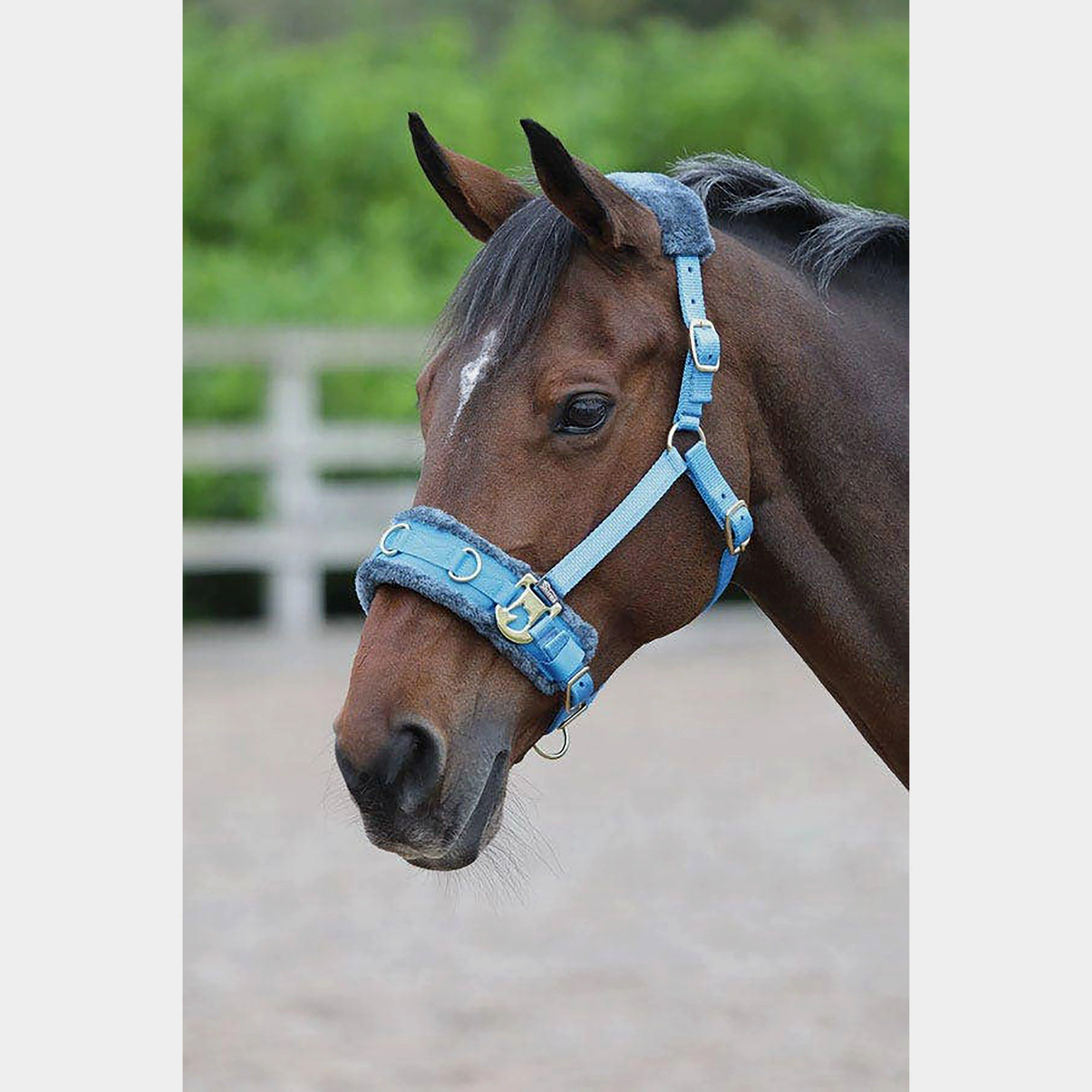 Fleece Lined Lunge Cavesson Blue