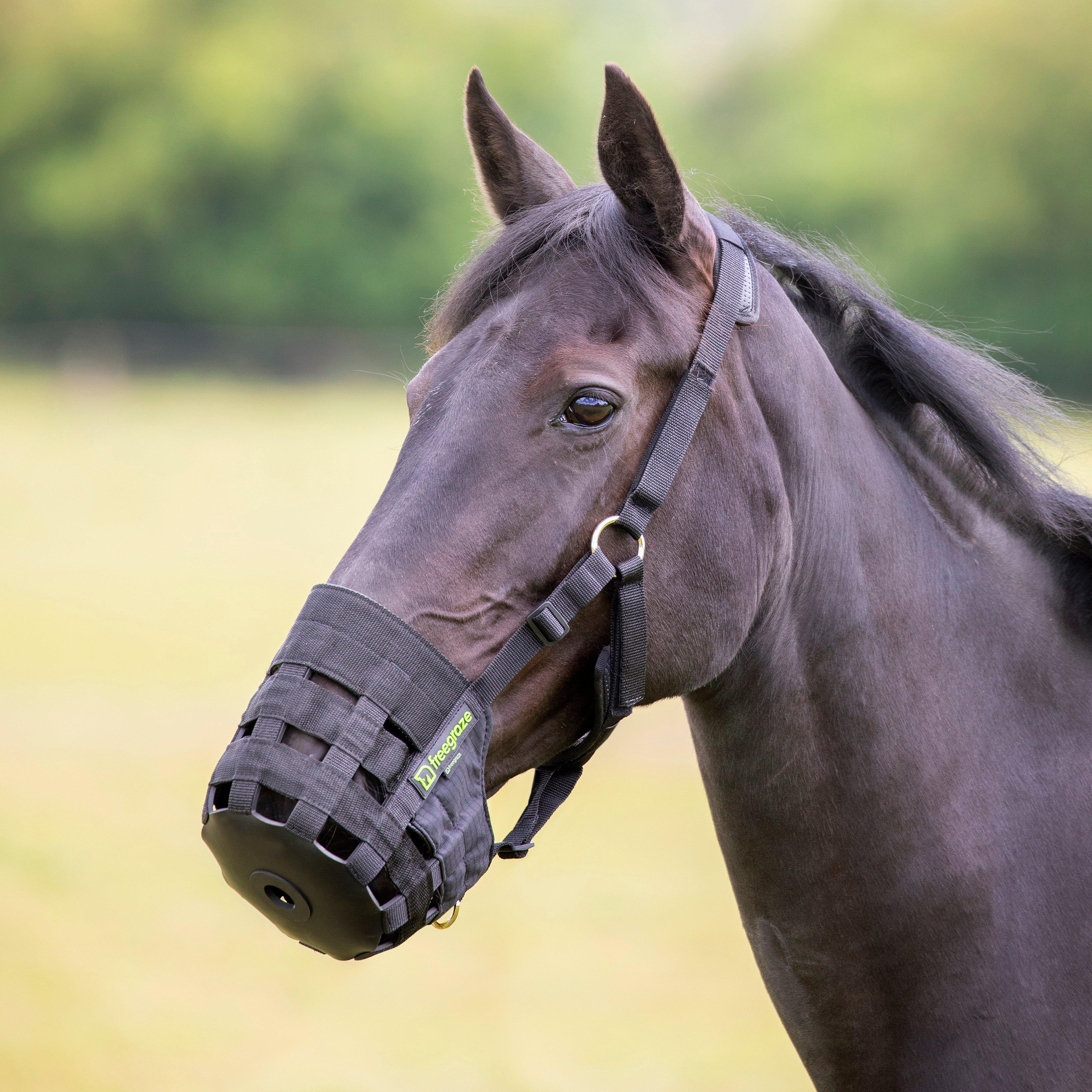 FreeGraze Comfort Grazing Muzzle Black - Image 13