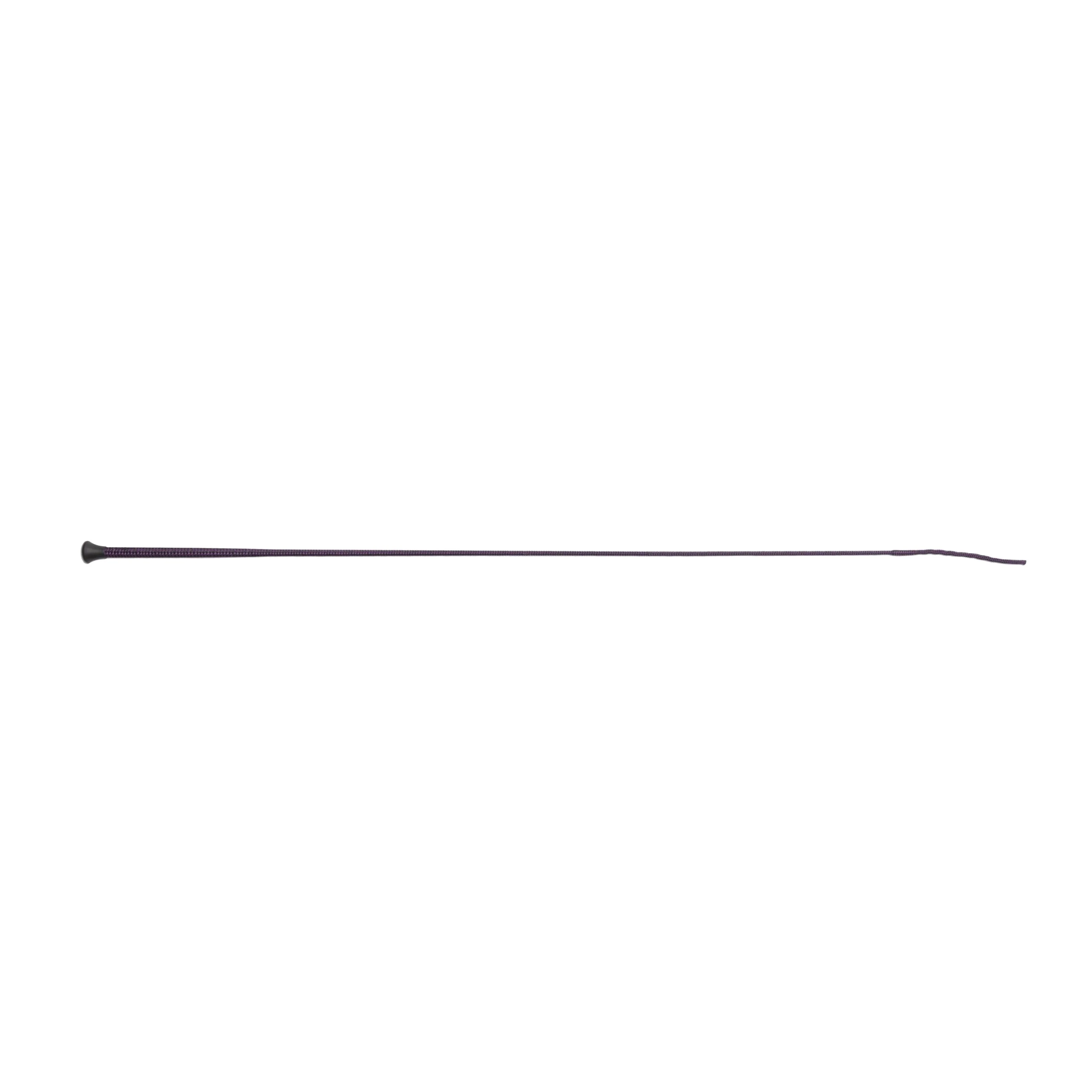 Schooling Whip Purple - Image 2