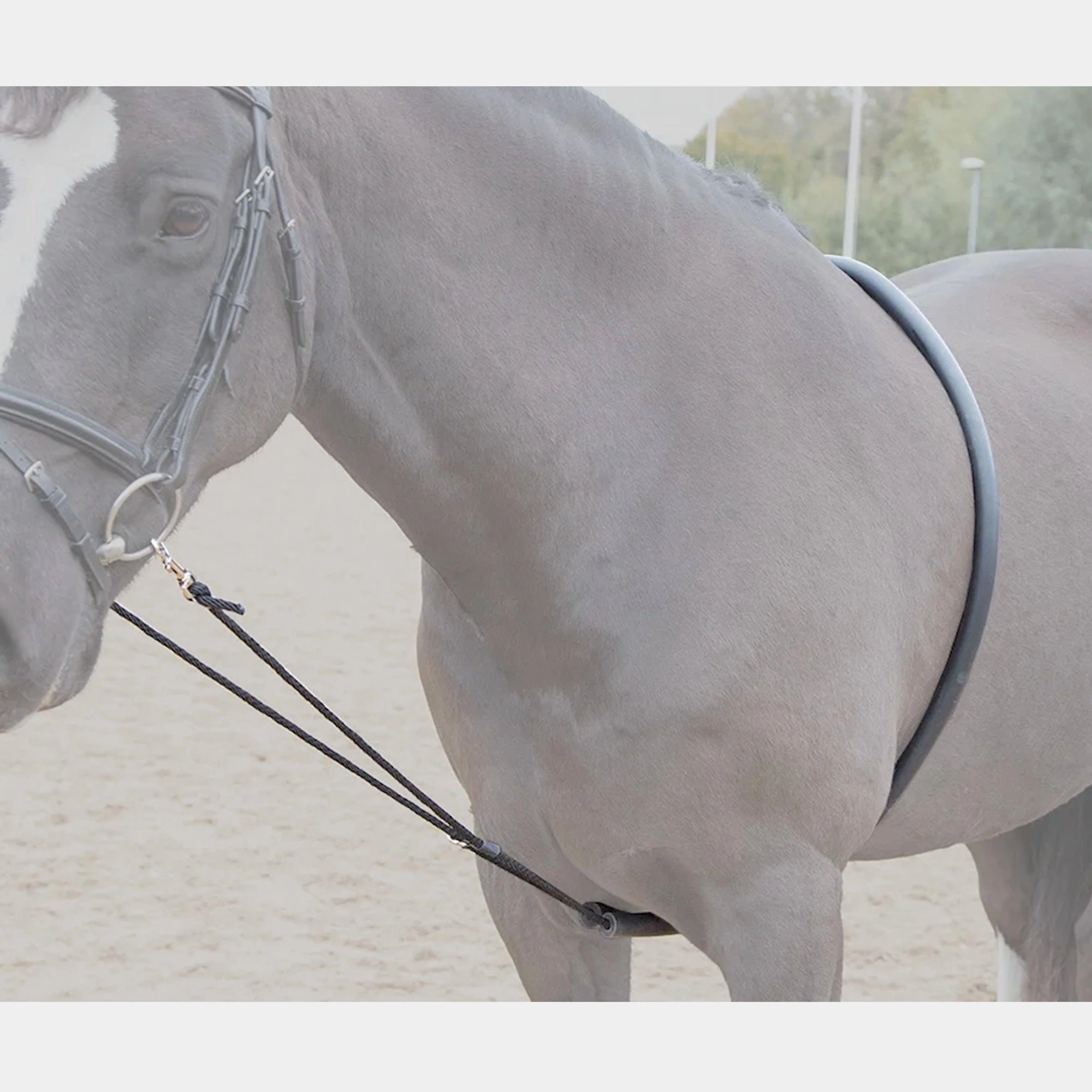 Soft Lungeing Aid Black
