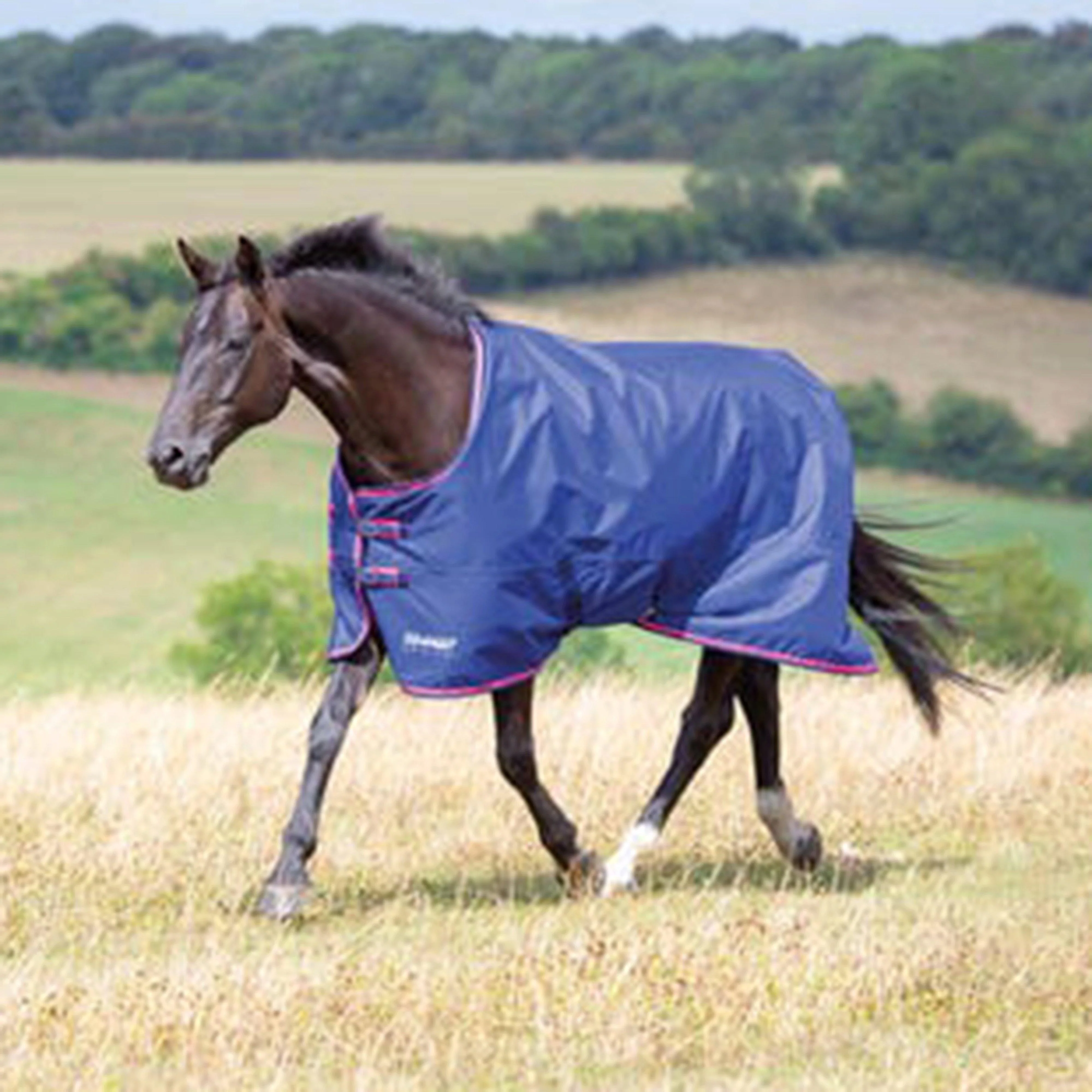 Tempest Original 100g Lightweight Standard Neck Turnout Rug Purple Lightning - Image 2