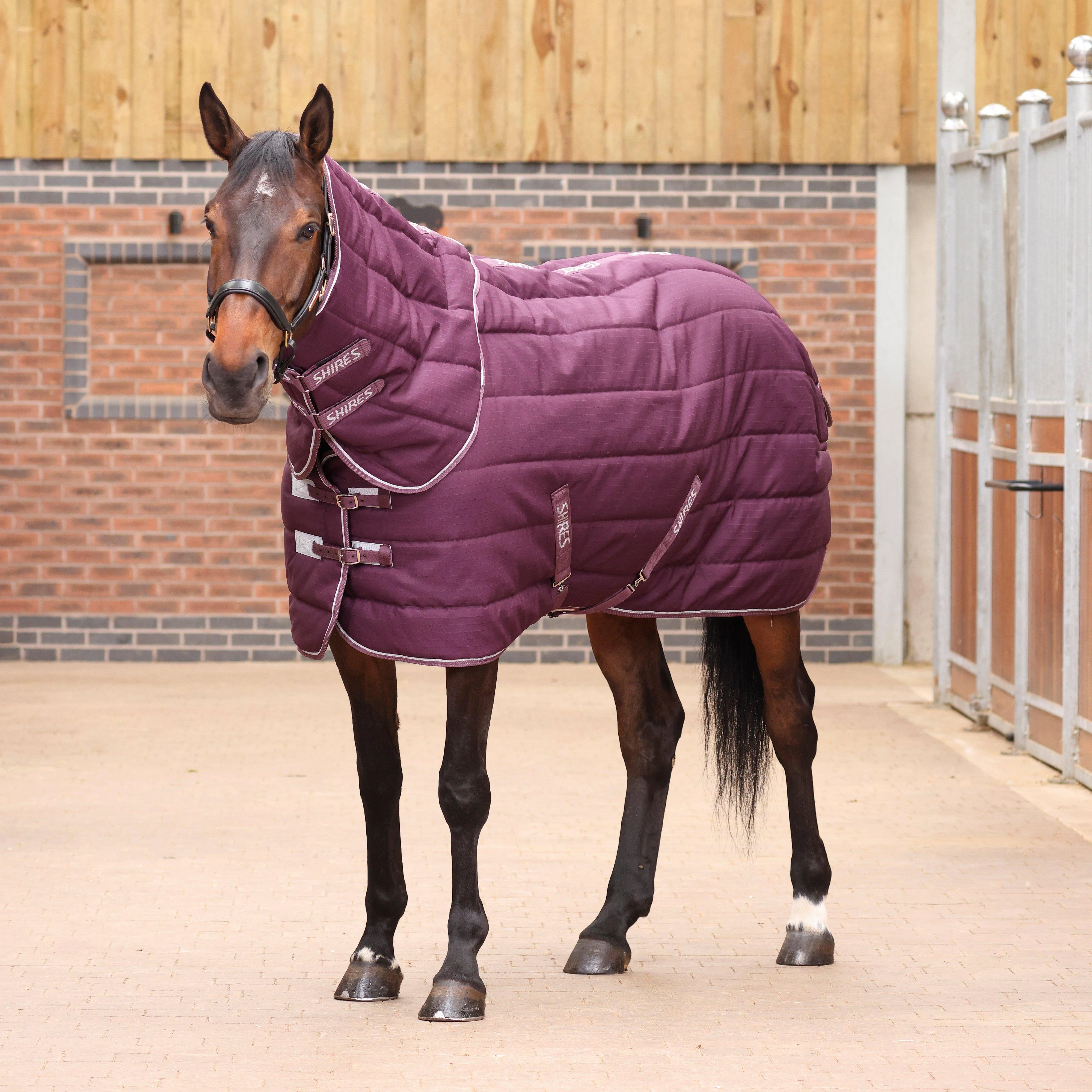 Tempest Original 300g Heavyweight Detach-A-Neck Stable Rug Burgundy - Image 8