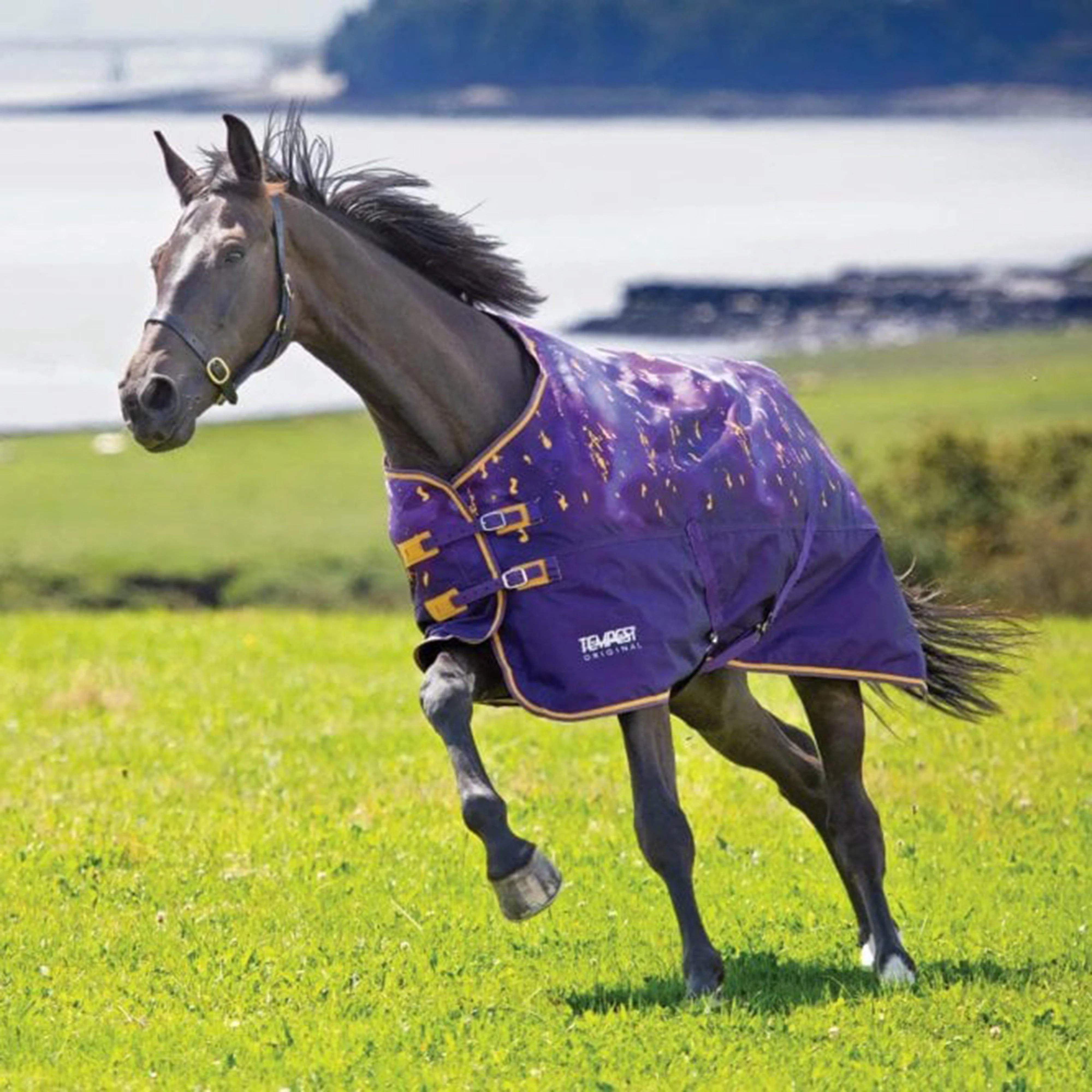 Tempest Original Lite 0g Turnout Amethyst - Image 2