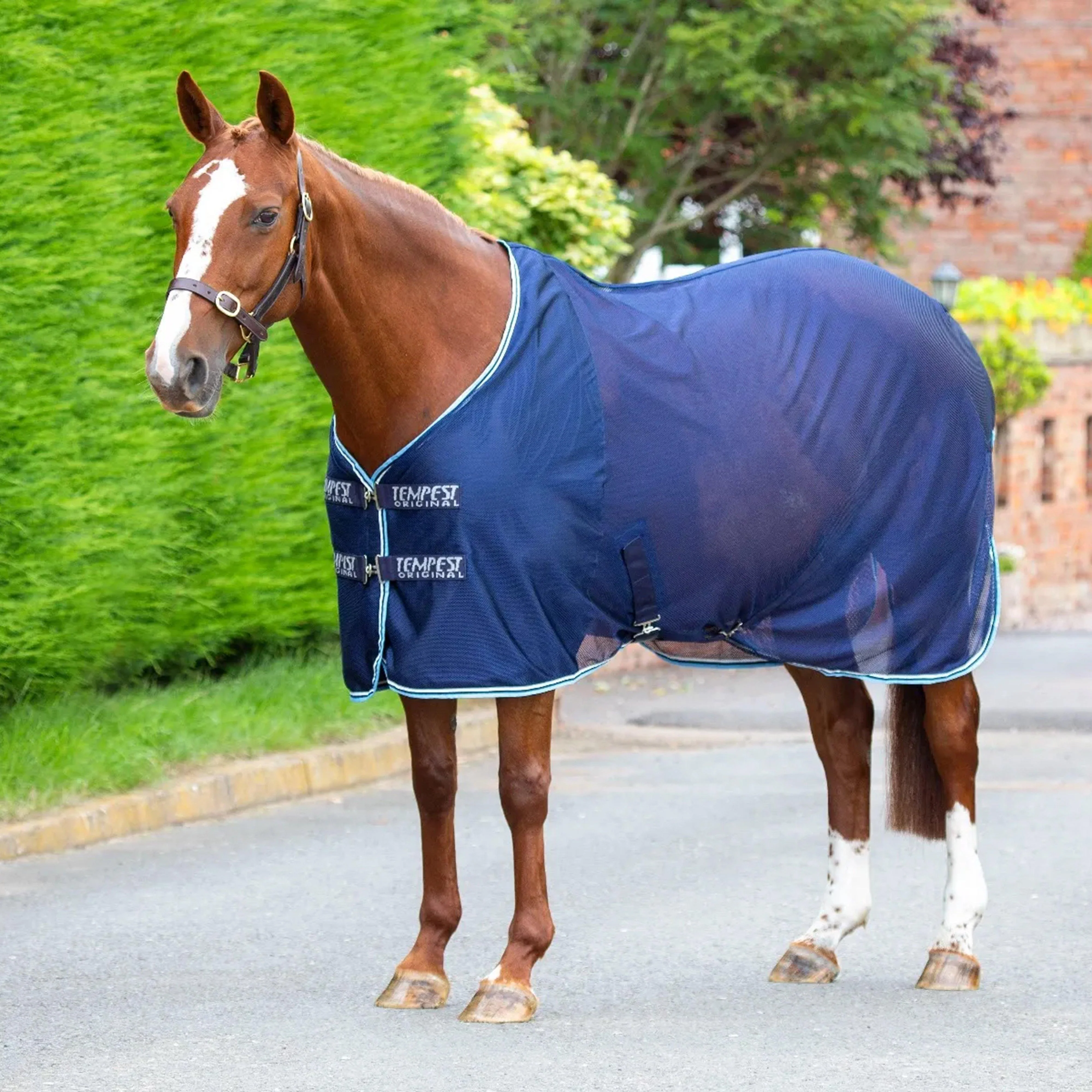 Tempest Original Mesh Cooler Navy - Image 2