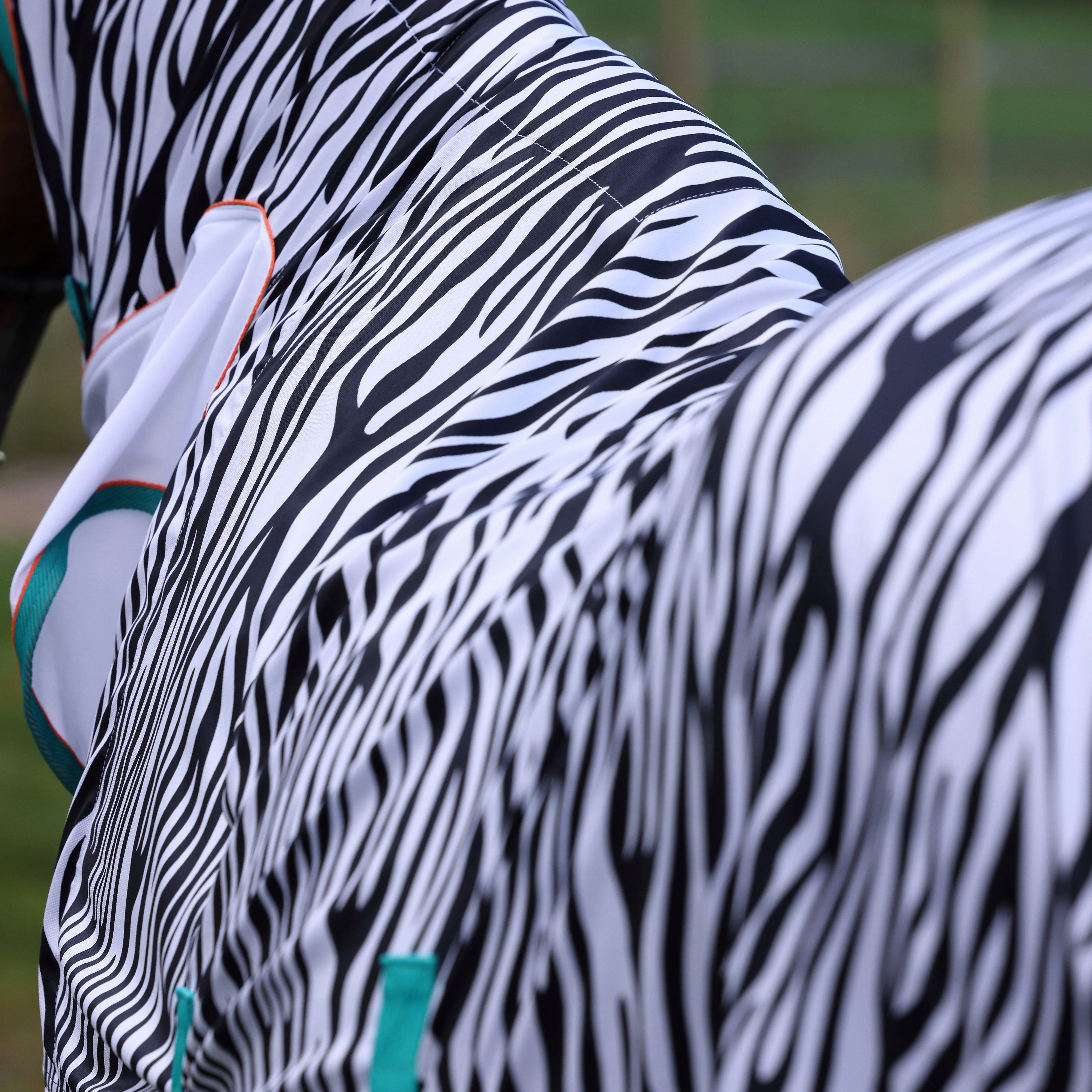 Tempest Original Zeb-Tek Fly Combo Rug Zebra Print - Image 2