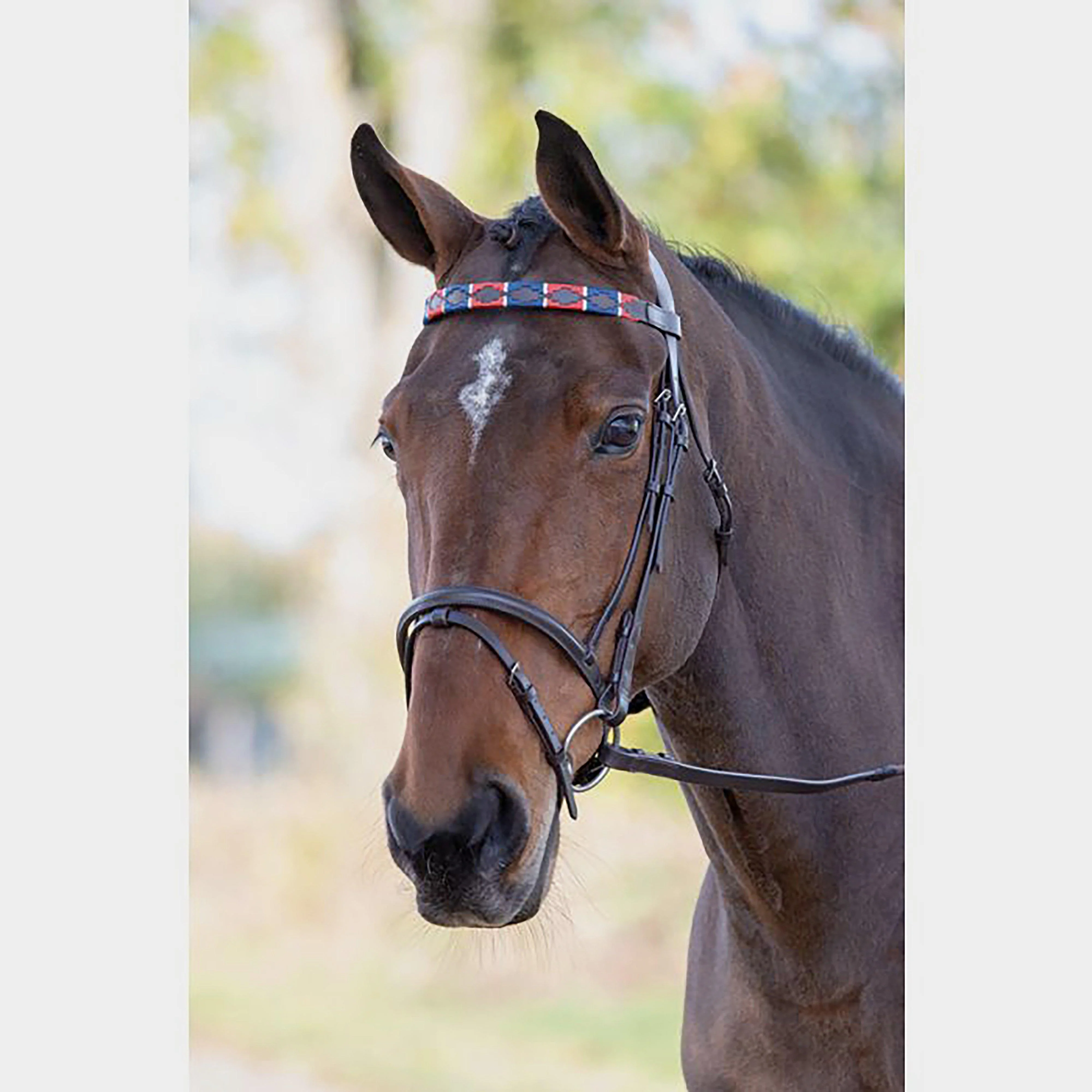 GARA Leather Polo Browband Red/Navy