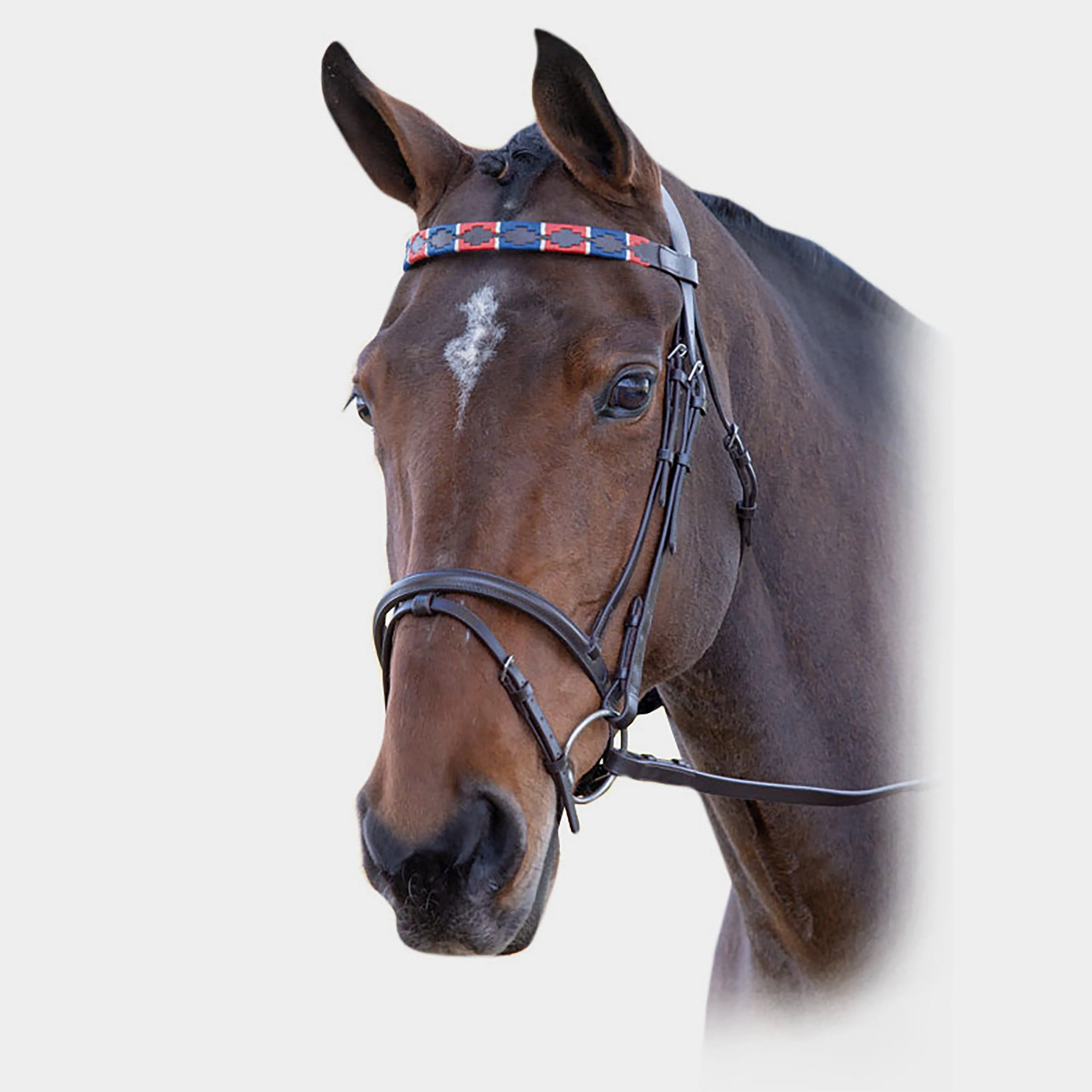 GARA Leather Polo Browband Red/Navy - Image 2