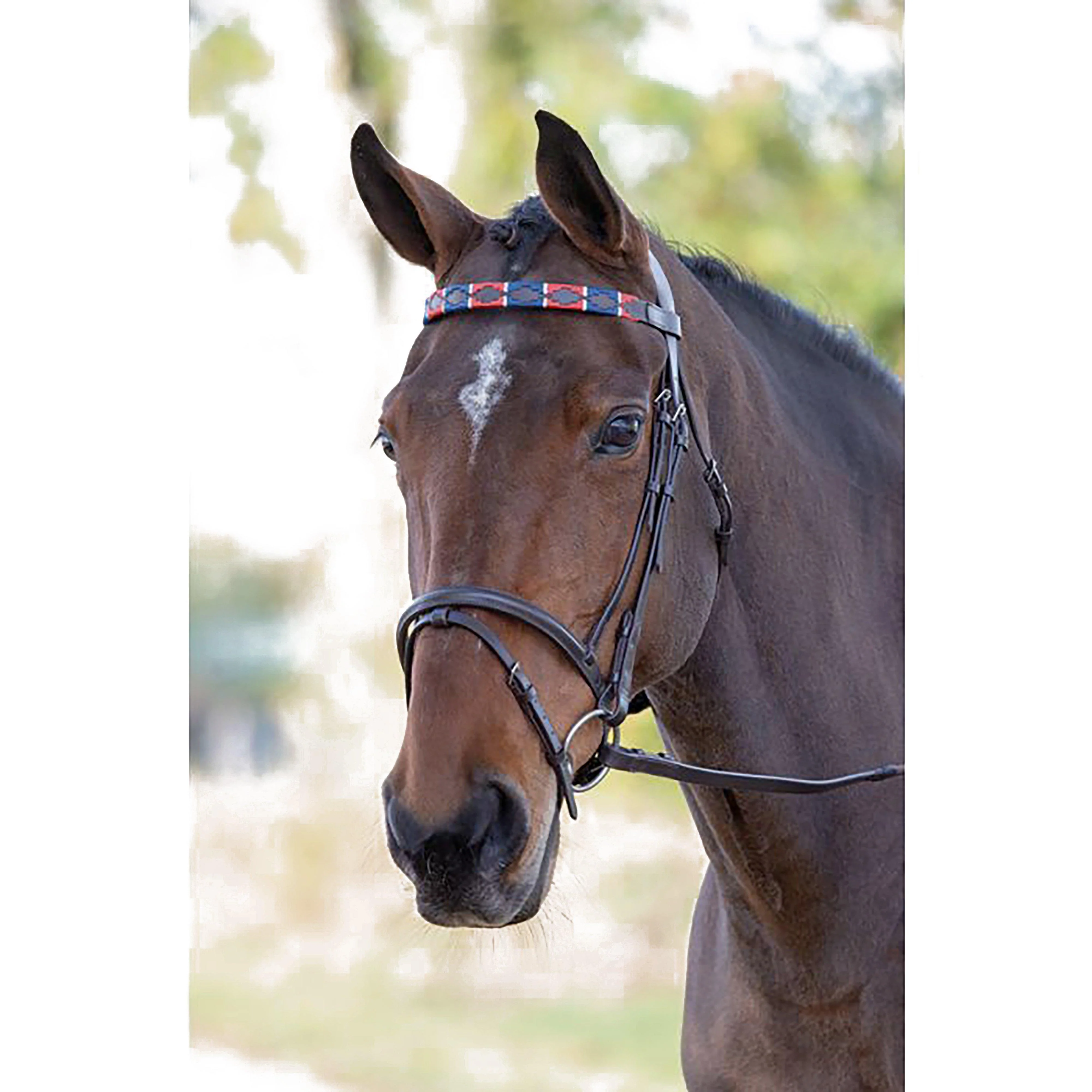 GARA Leather Polo Browband Red/Navy - Image 3