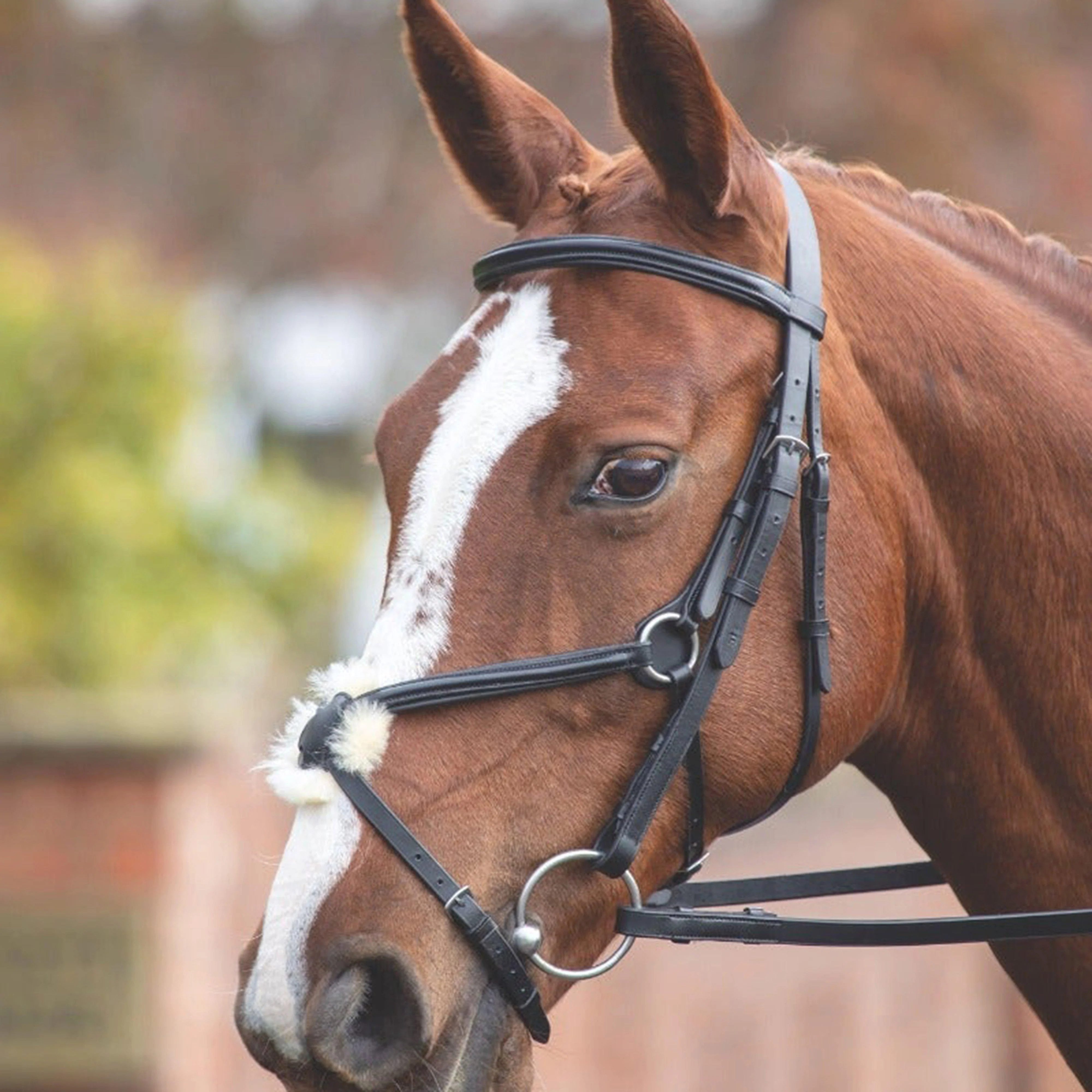 GARA Mexican Bridle Black