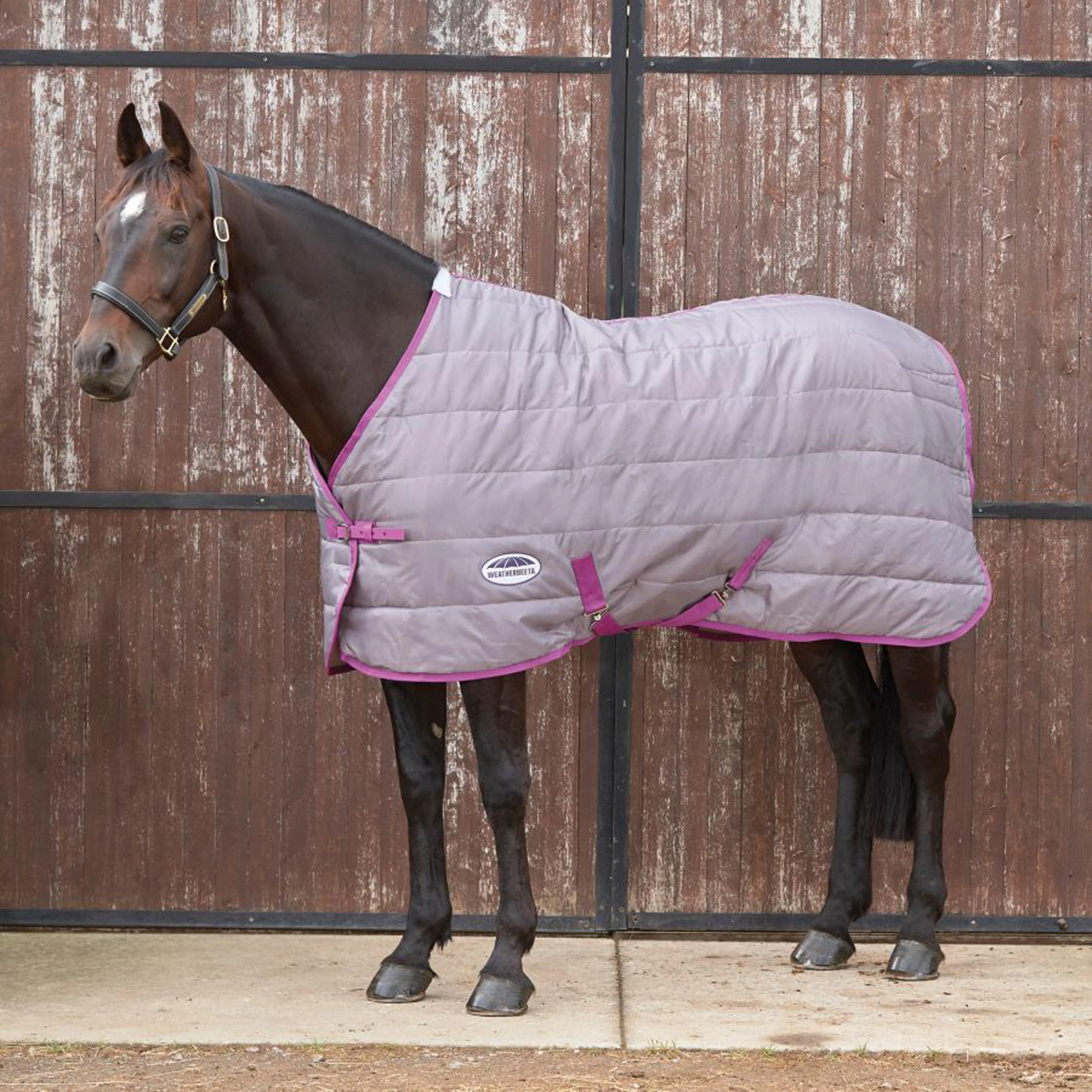 ComFiTec 210D Channel Quilt 110g Light-Medium Weight Standard Neck Stable Rug Dark Grey/Orchid