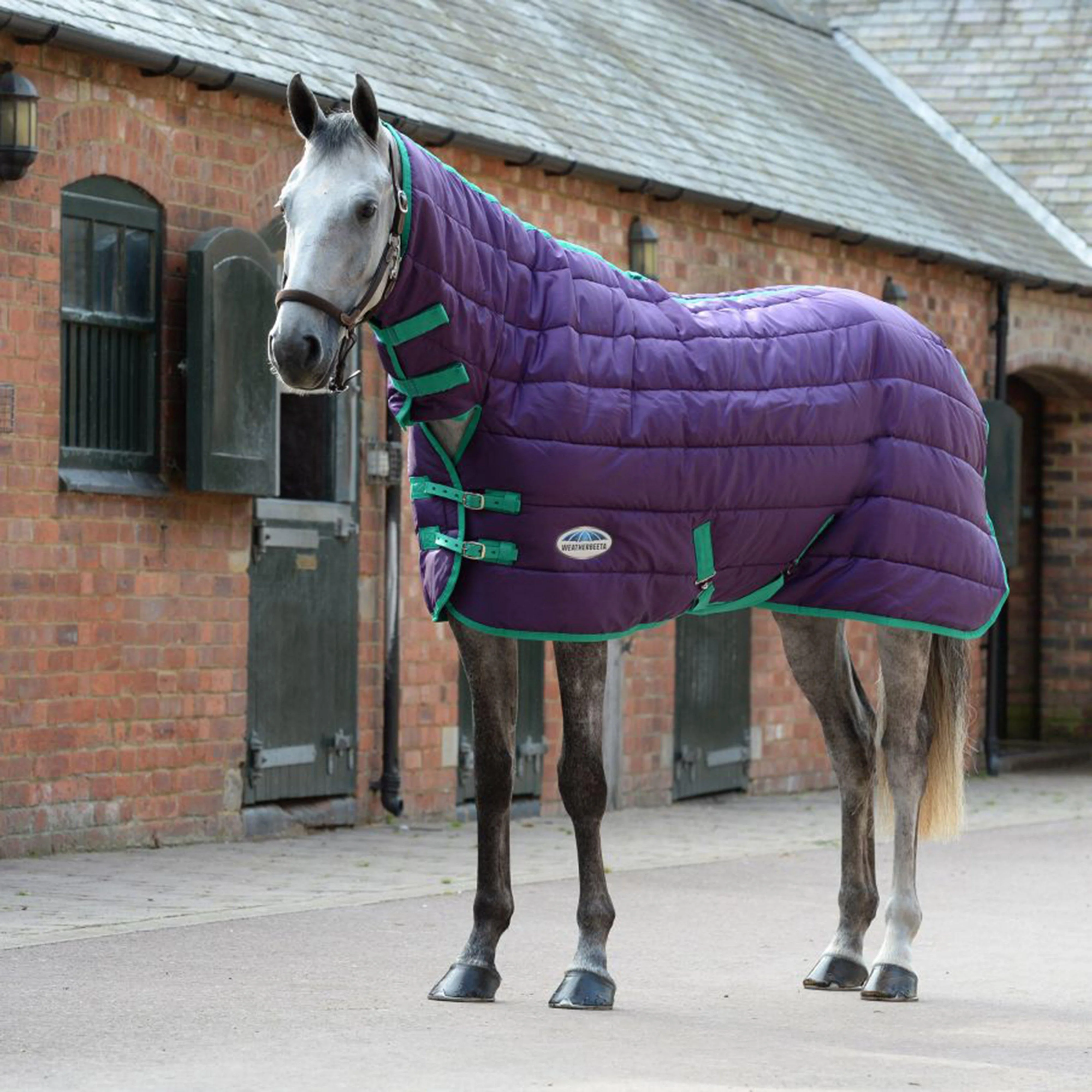 Comfitec 210D Channel Quilt Medium Weight Combo Neck Stable Rug Grape Purple/Blue - Image 4